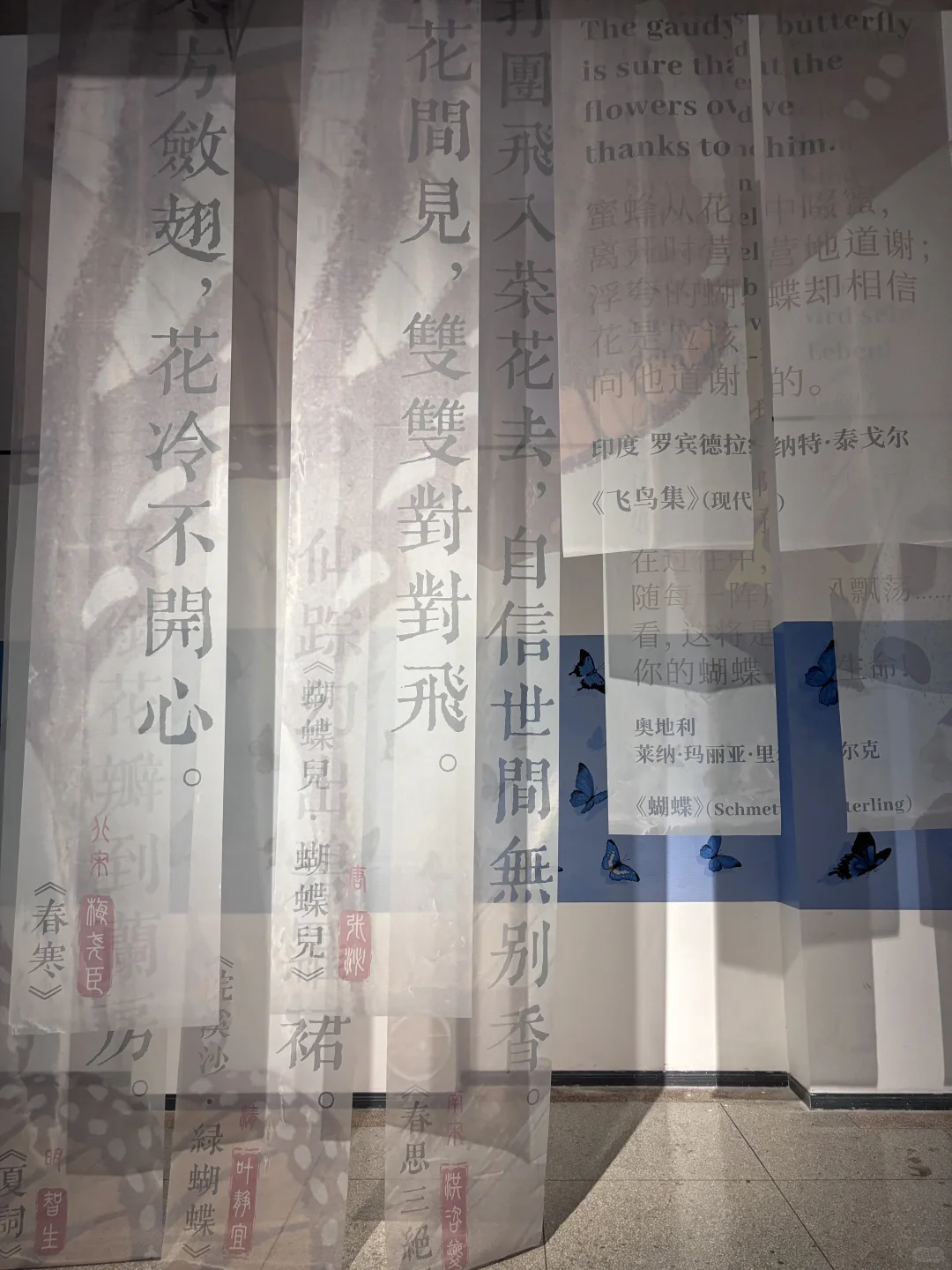 破茧而生，羽化而美｜武汉华农「蝶变」艺术展