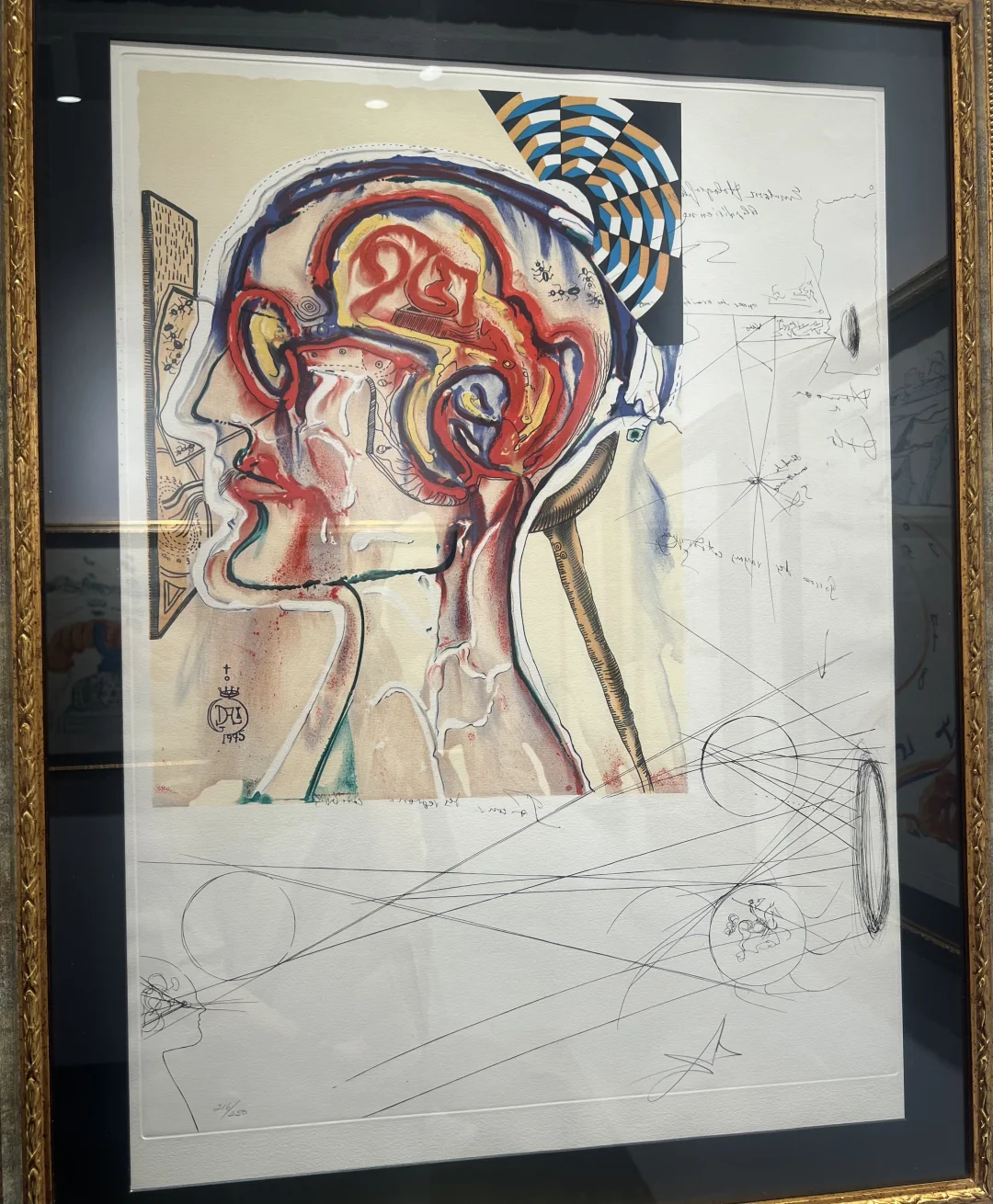 达利的形状｜中国巡展·珠海横琴臻林站