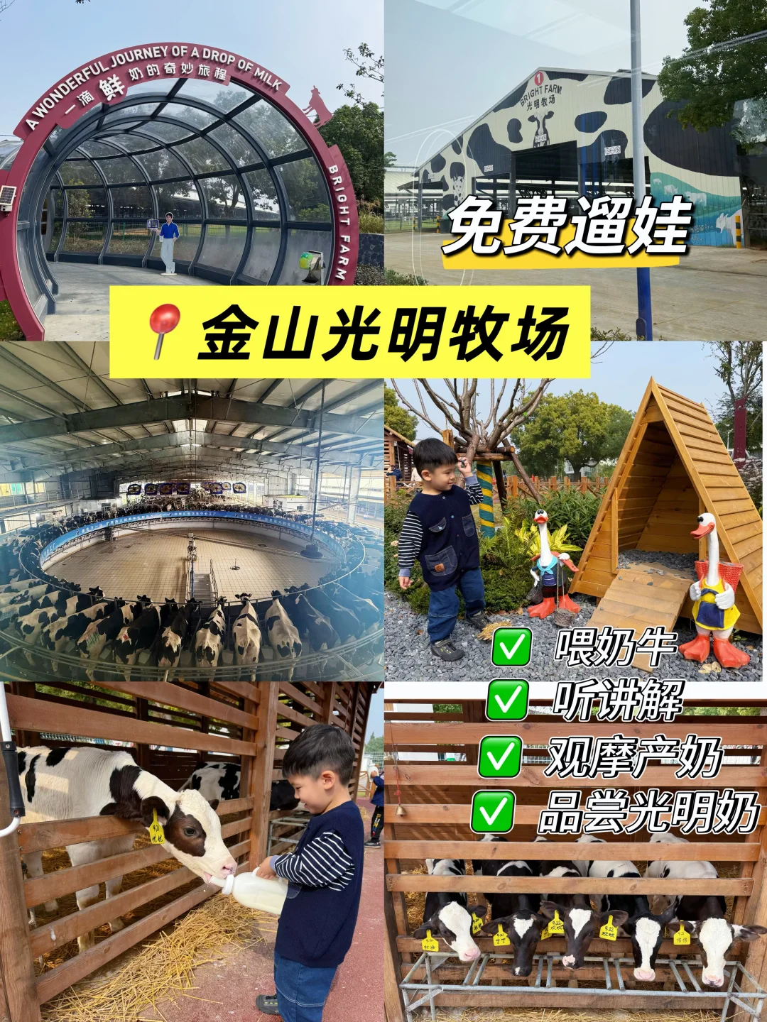 金山光明牧场|上海周末免费遛娃