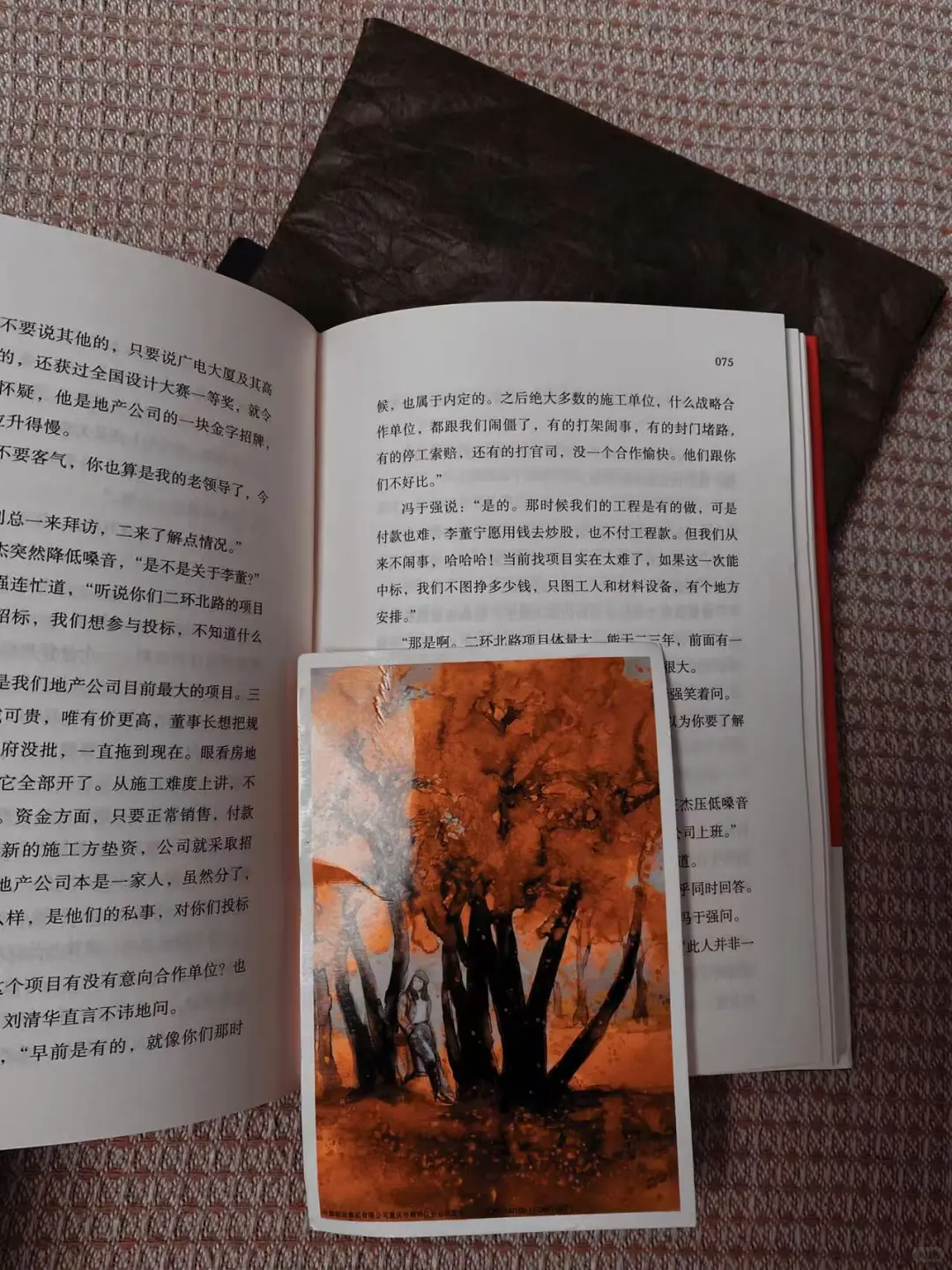 如果你对招投标好奇 这本书能颠覆认知!