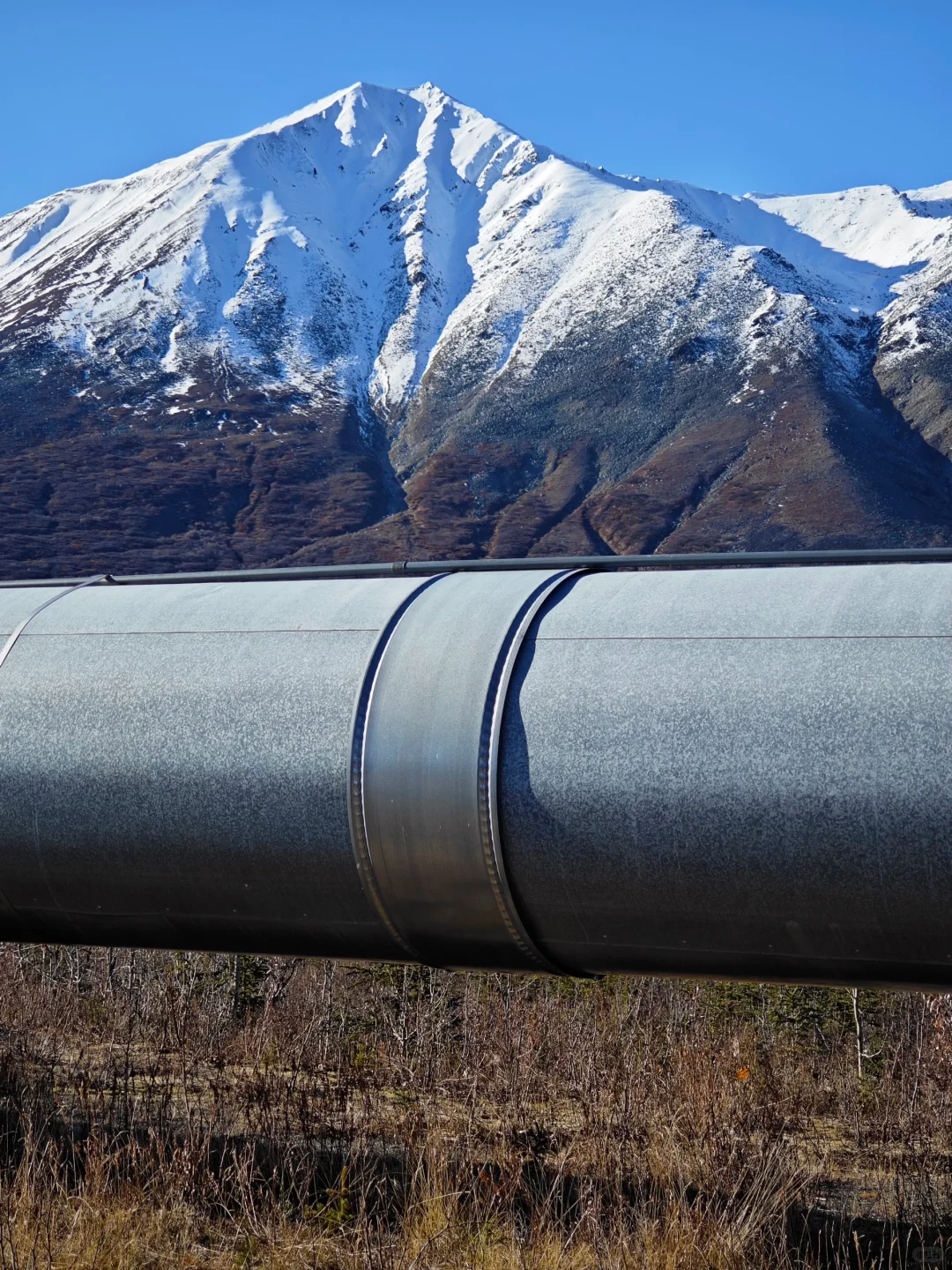 阿拉斯加输油管道