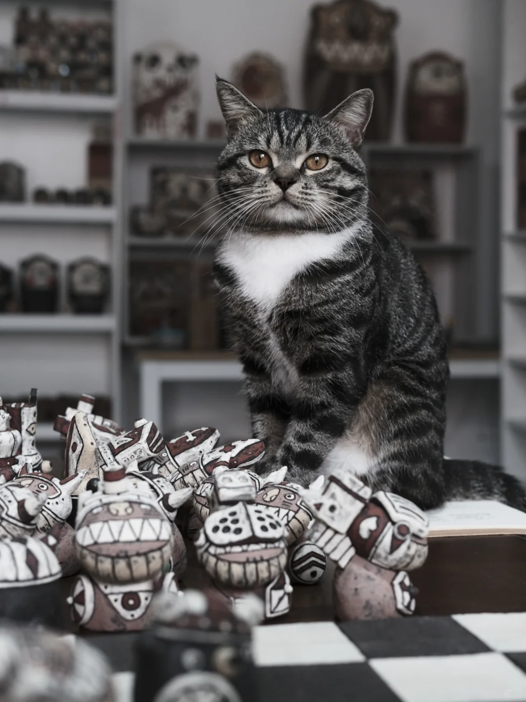 自己动手做了一副国际象棋♟️熊vs狮子