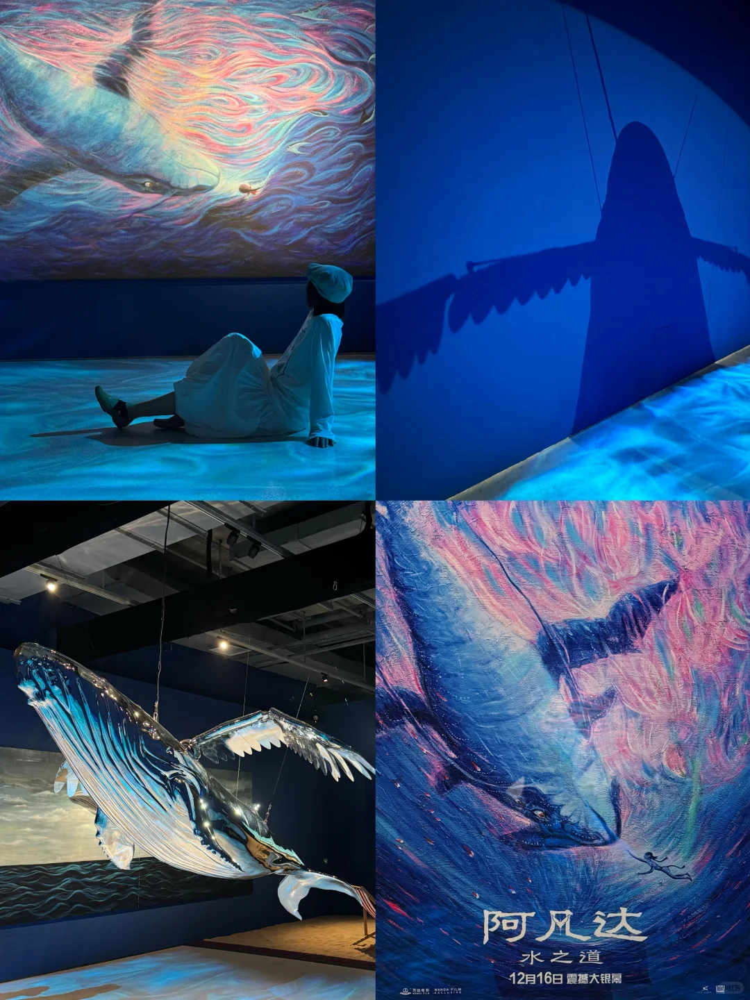 北京重磅新展!闯入如花梦境,治愈力拉满!!!