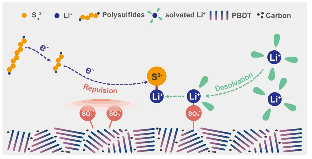 AM：液晶聚合物调控实现高性能锂硫电池！