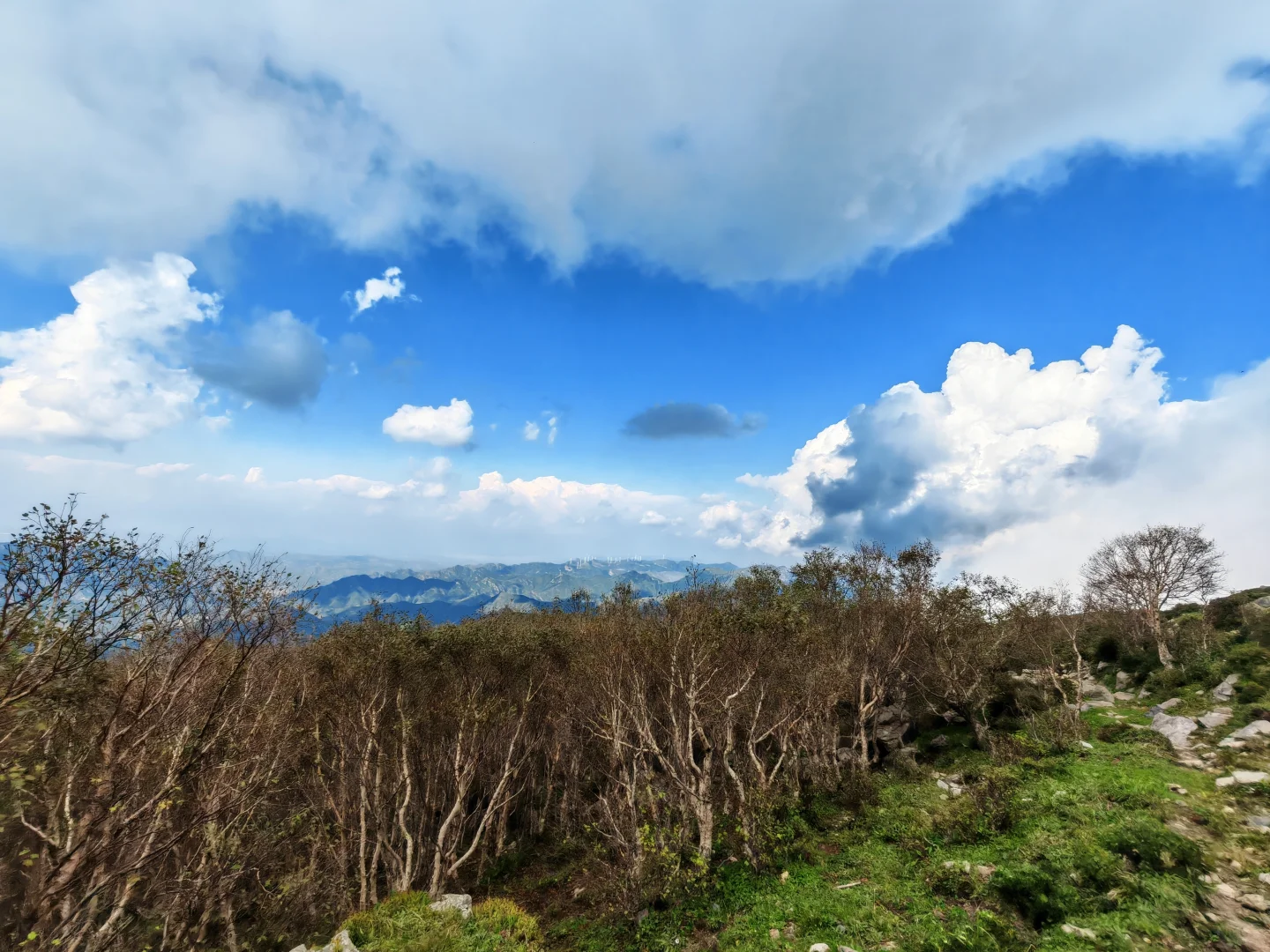探秘东灵山废弃索道之谜