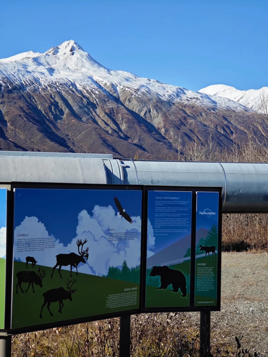 阿拉斯加输油管道