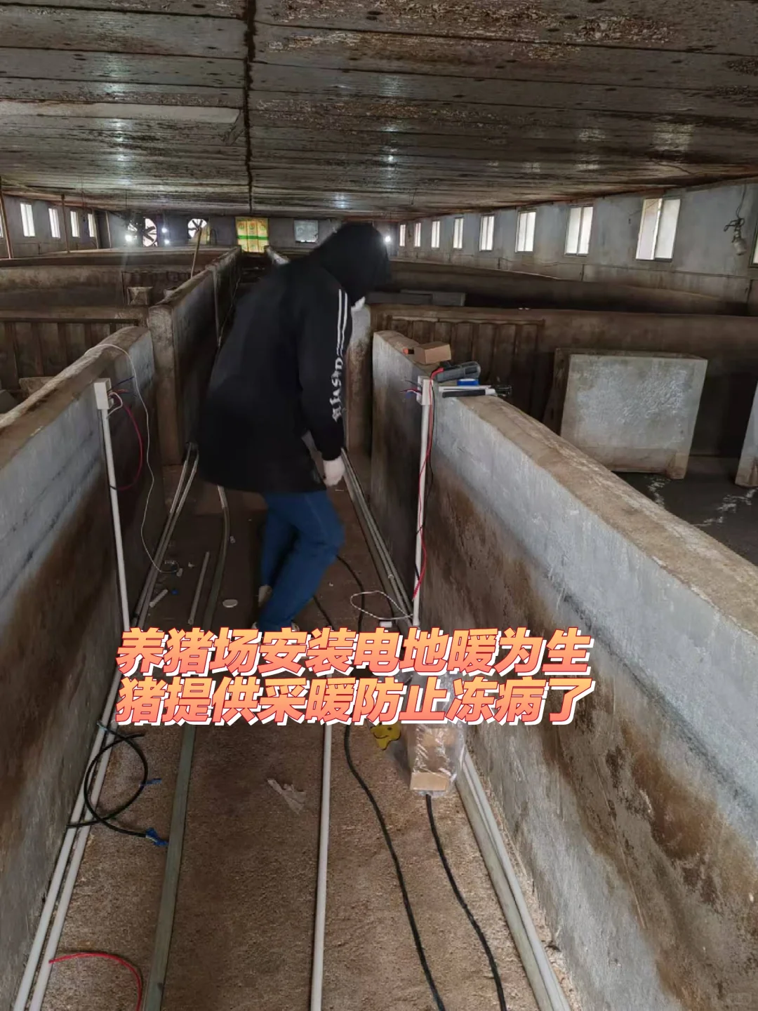 养猪场安装电地暖