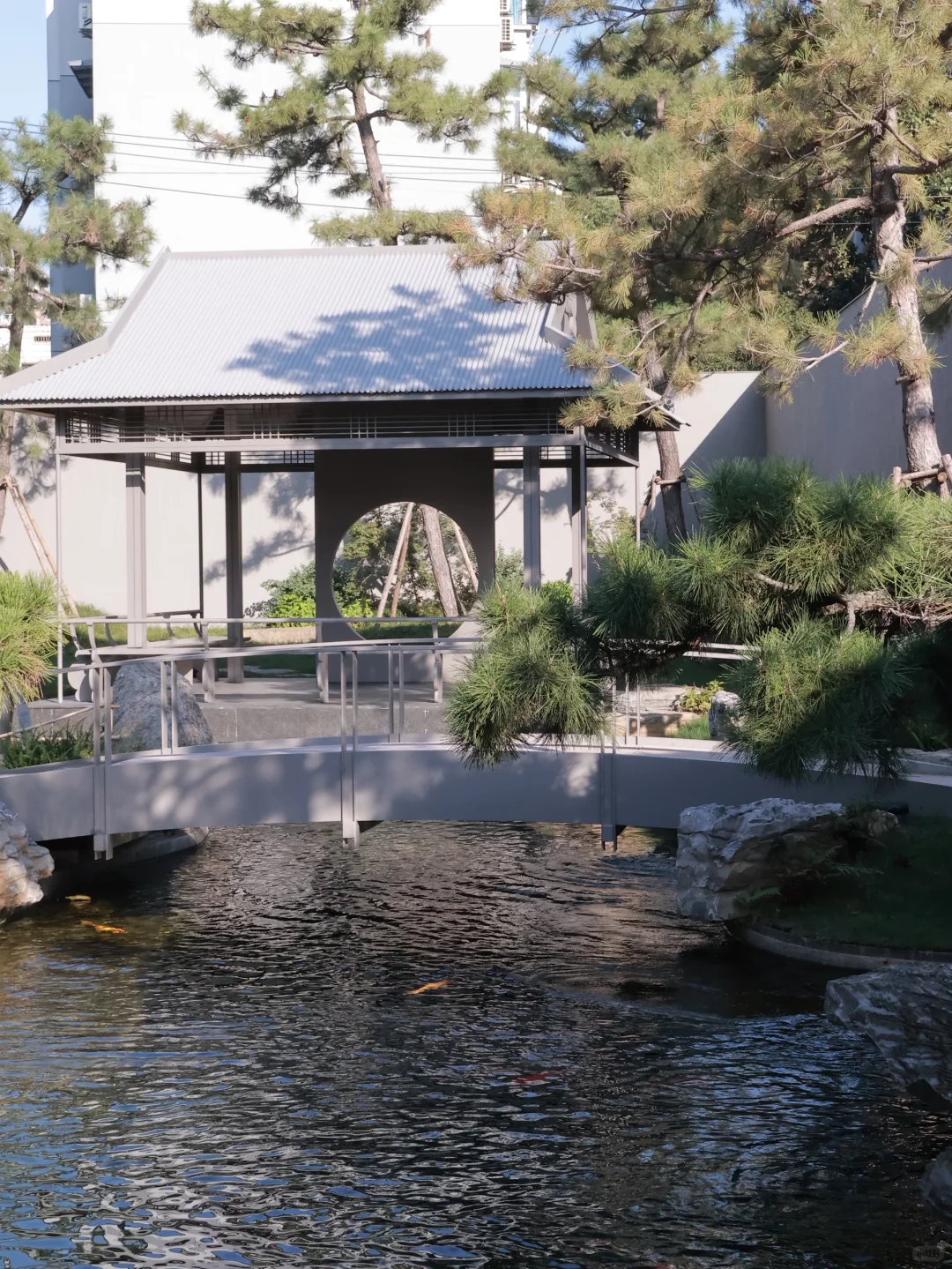 杭州新展｜番茄你个tomato ???️