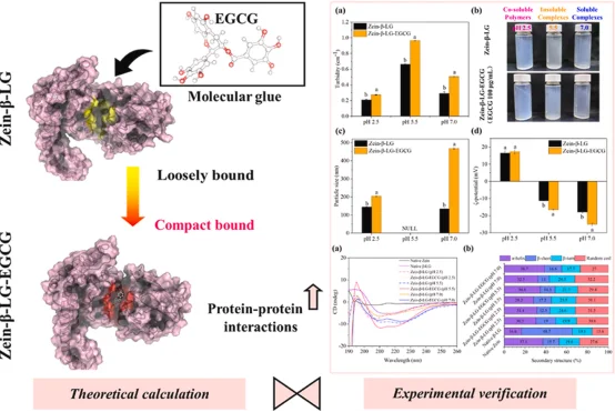今天分享的是一篇Food Hydrocolloids.