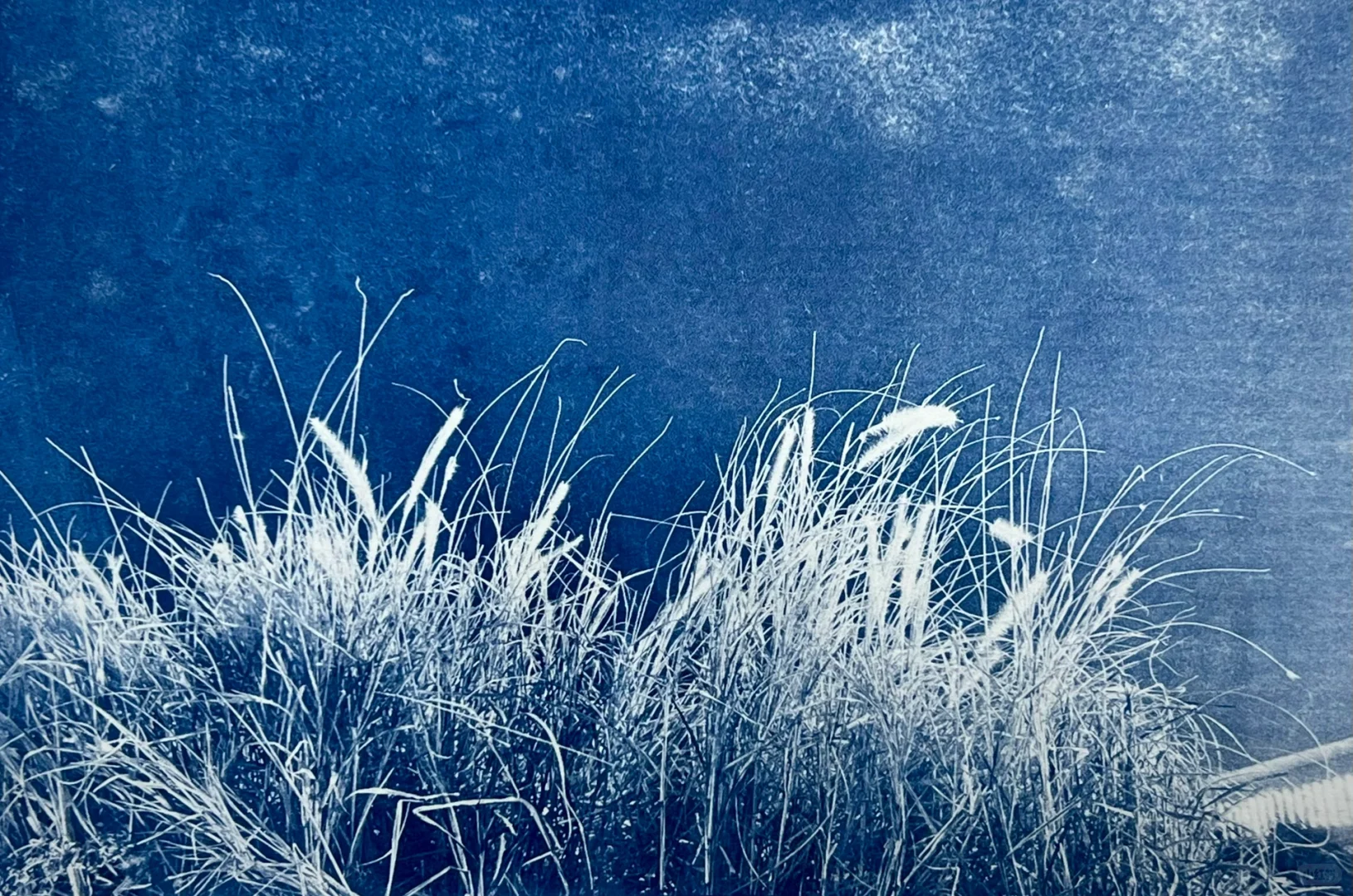 蓝晒|晒版机大法好