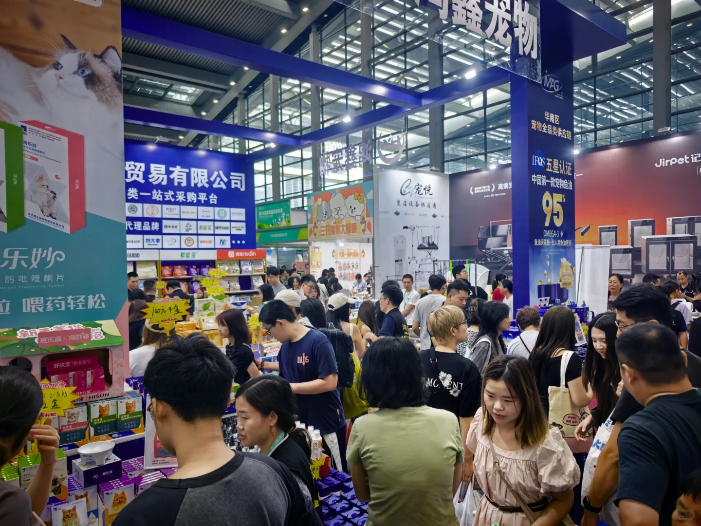 是谁被深宠展的人气狠狠拿捏了？