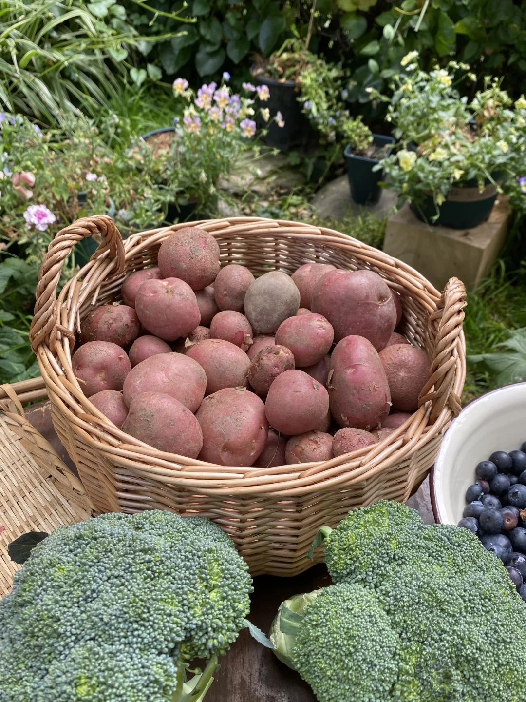 久违的乡村市集