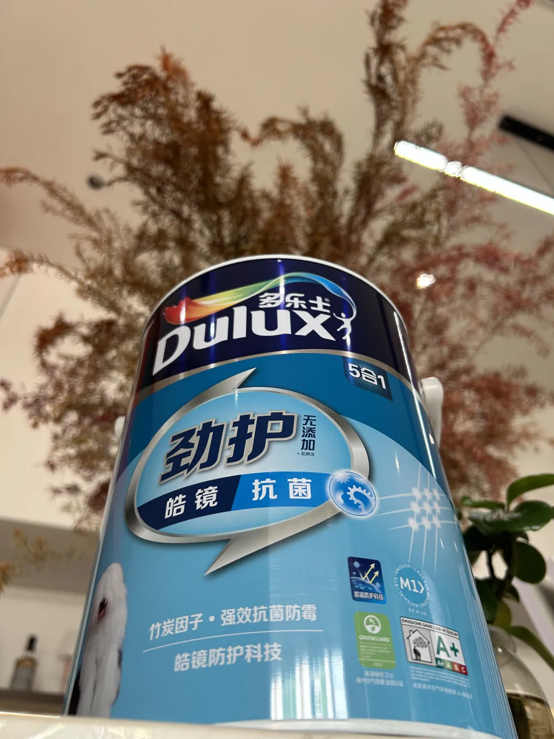 听我的！衡阳选多乐士劲护皓镜漆直接封神