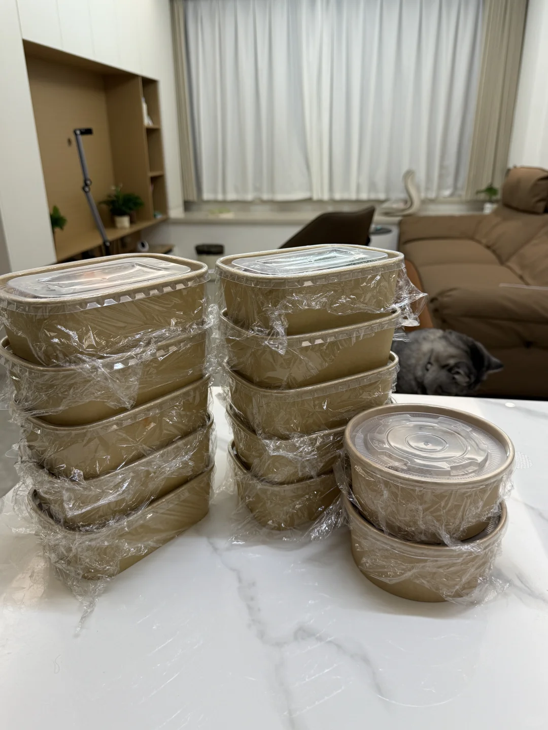 冻门永存 冷冻即永存