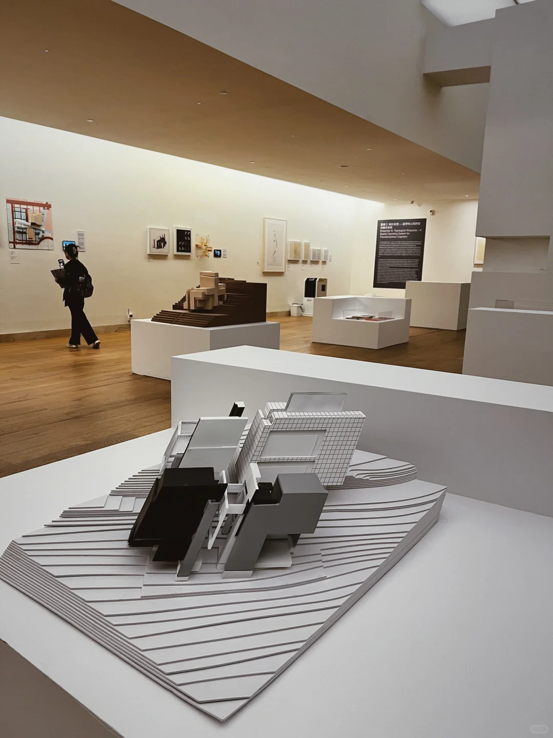 解码埃森曼：形式之外