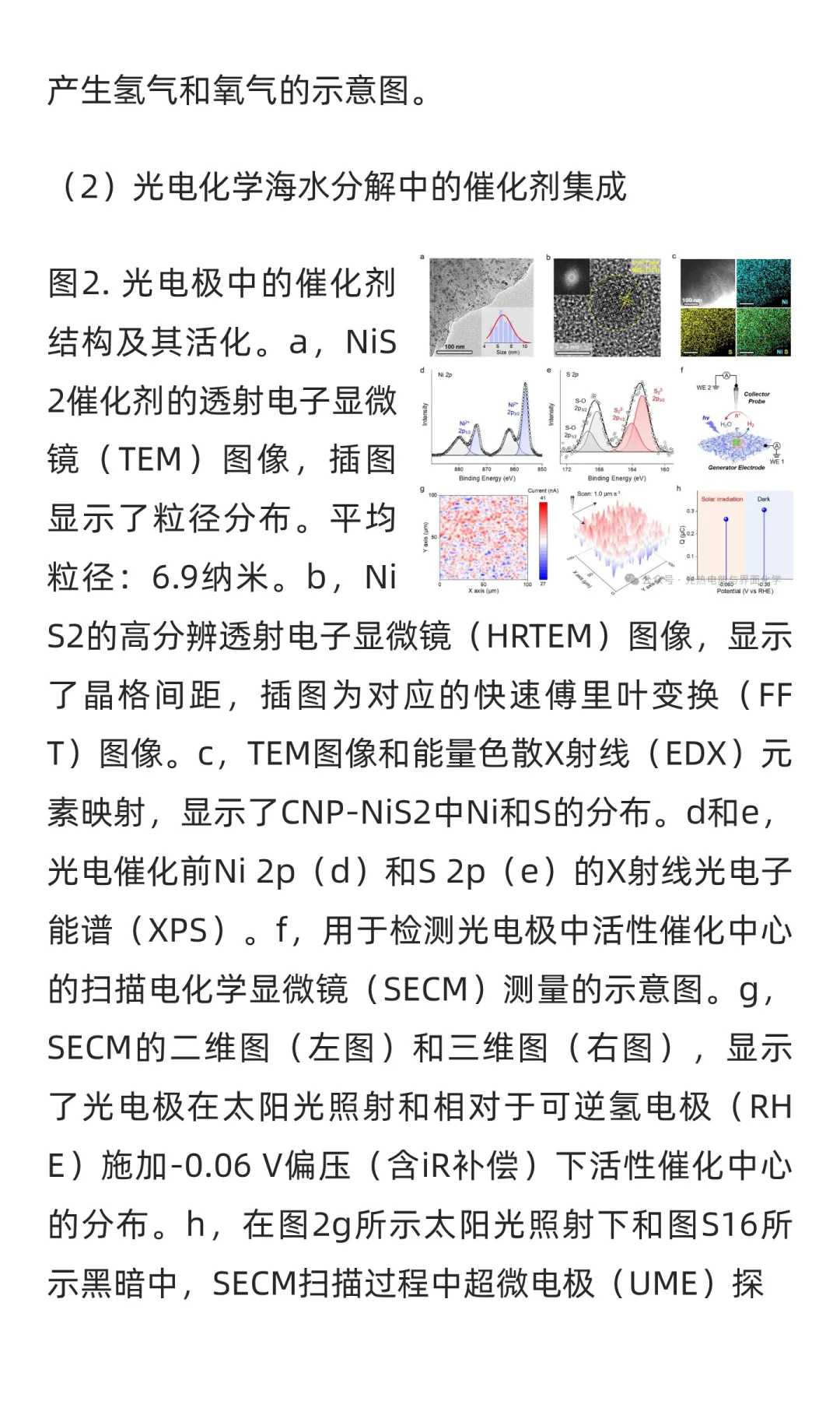 JACS|增强光生电荷传输,太阳能制氢