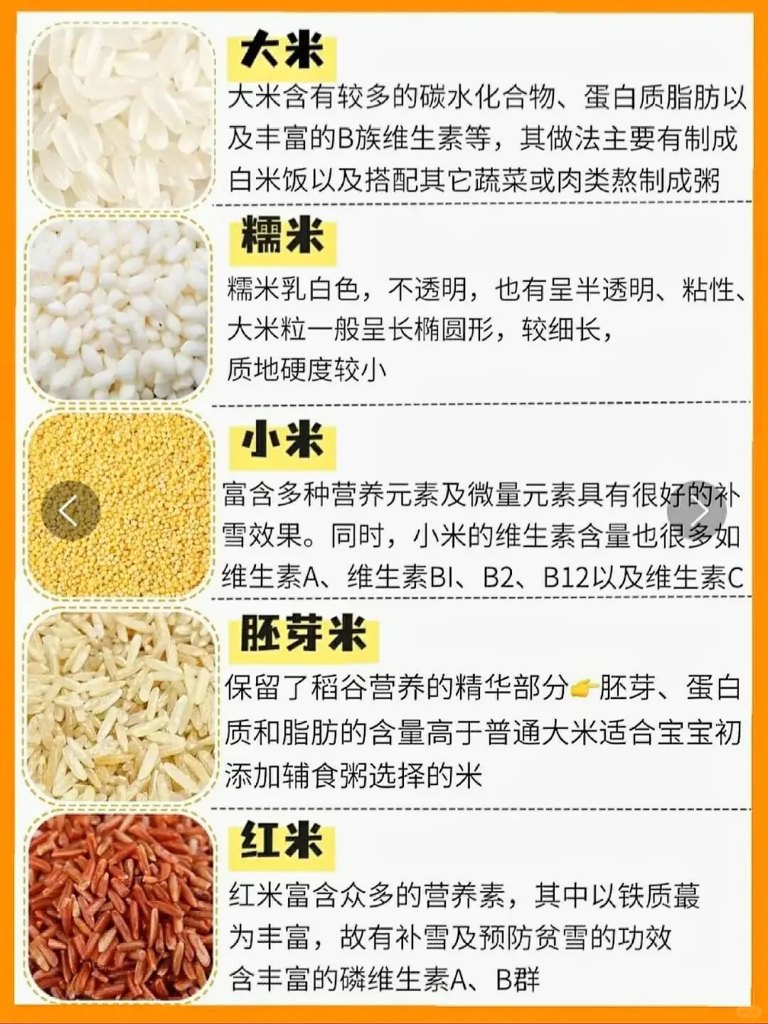 谷子≠五谷，25种五谷杂粮科普