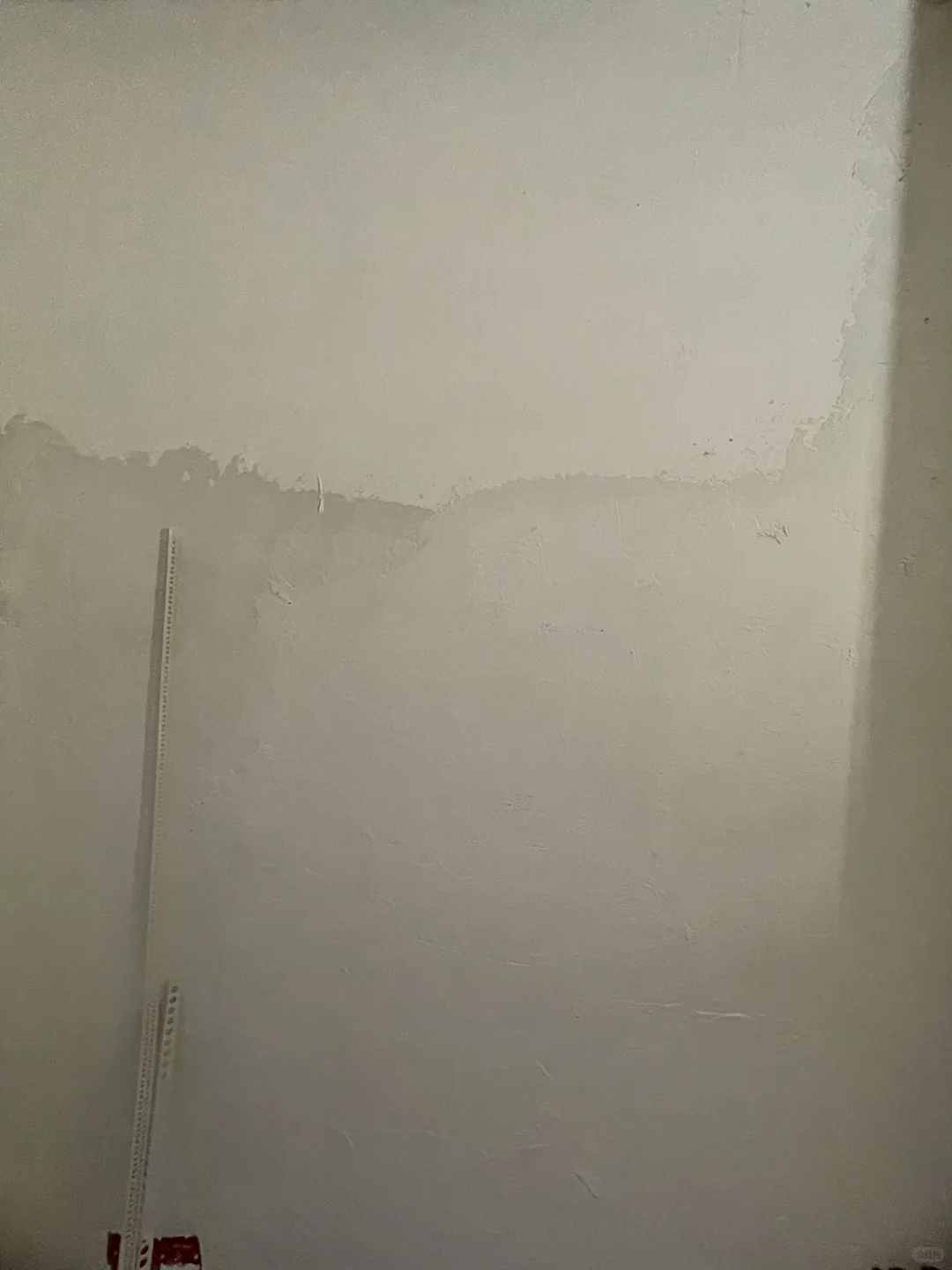 三棵树，我白嫖你什么了？