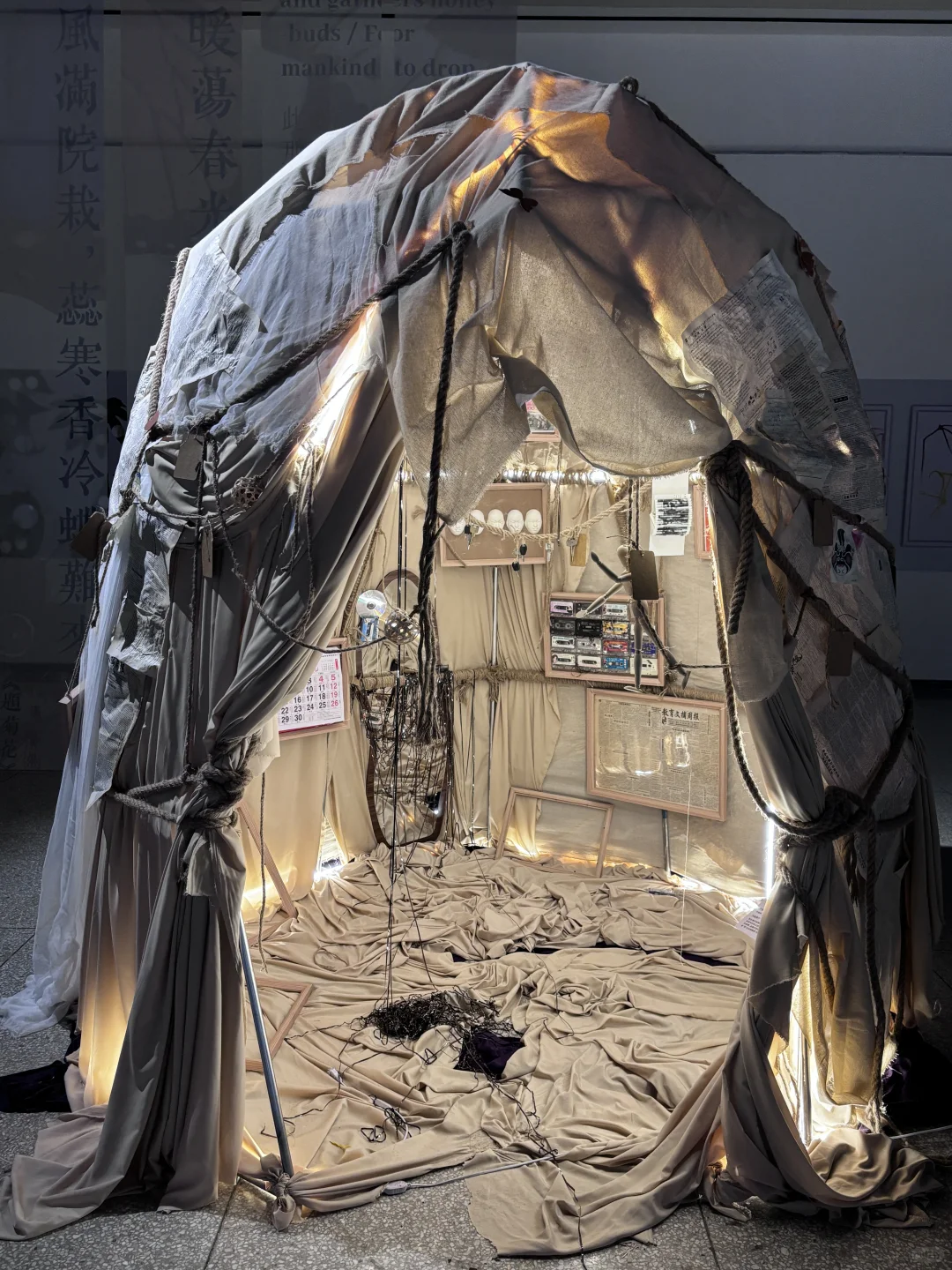 破茧而生，羽化而美｜武汉华农「蝶变」艺术展