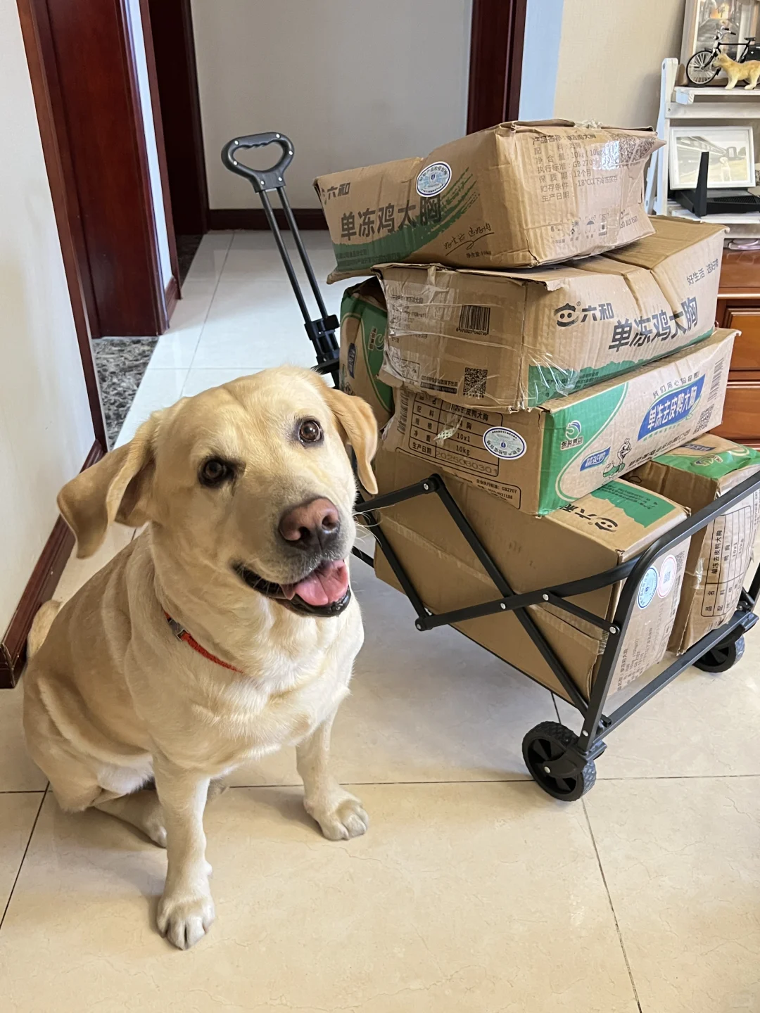 整个人都是生鸭肉味?