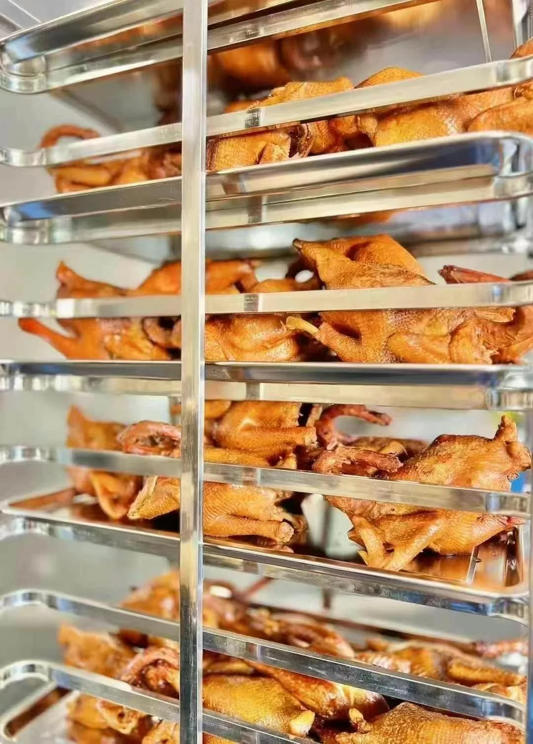 ?【重生之我在阿德莱德开食品厂】?