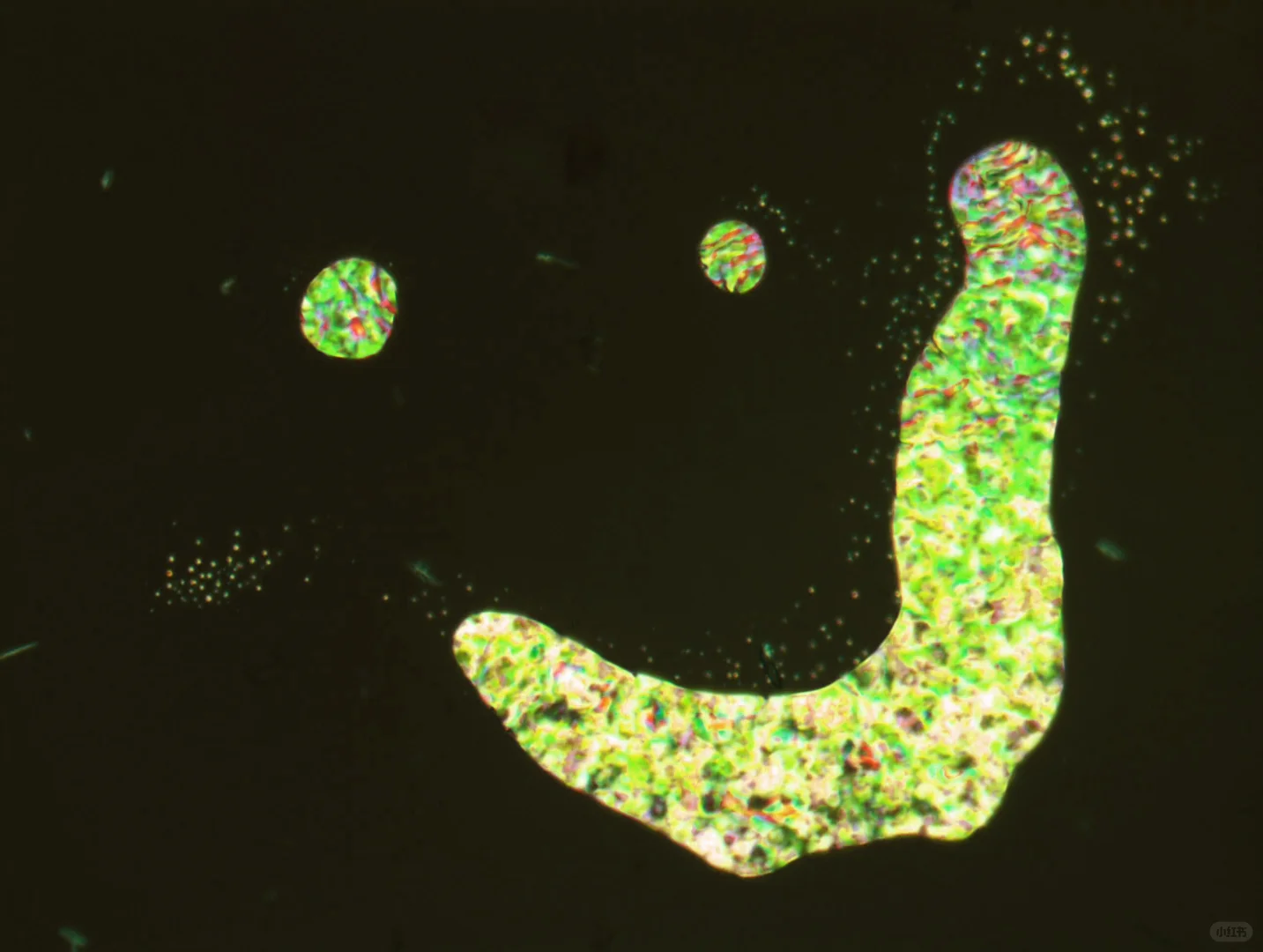 显微镜下的艺术 —— 液晶织构