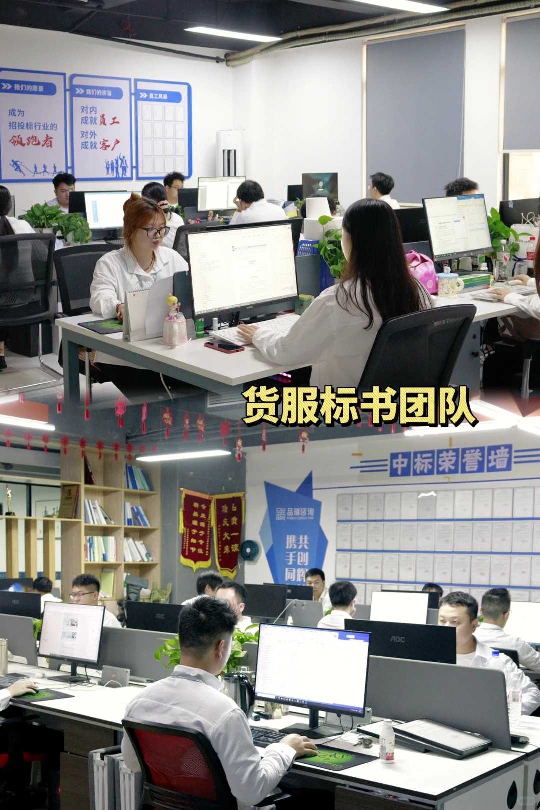 中标案例/学校食材配送标书！