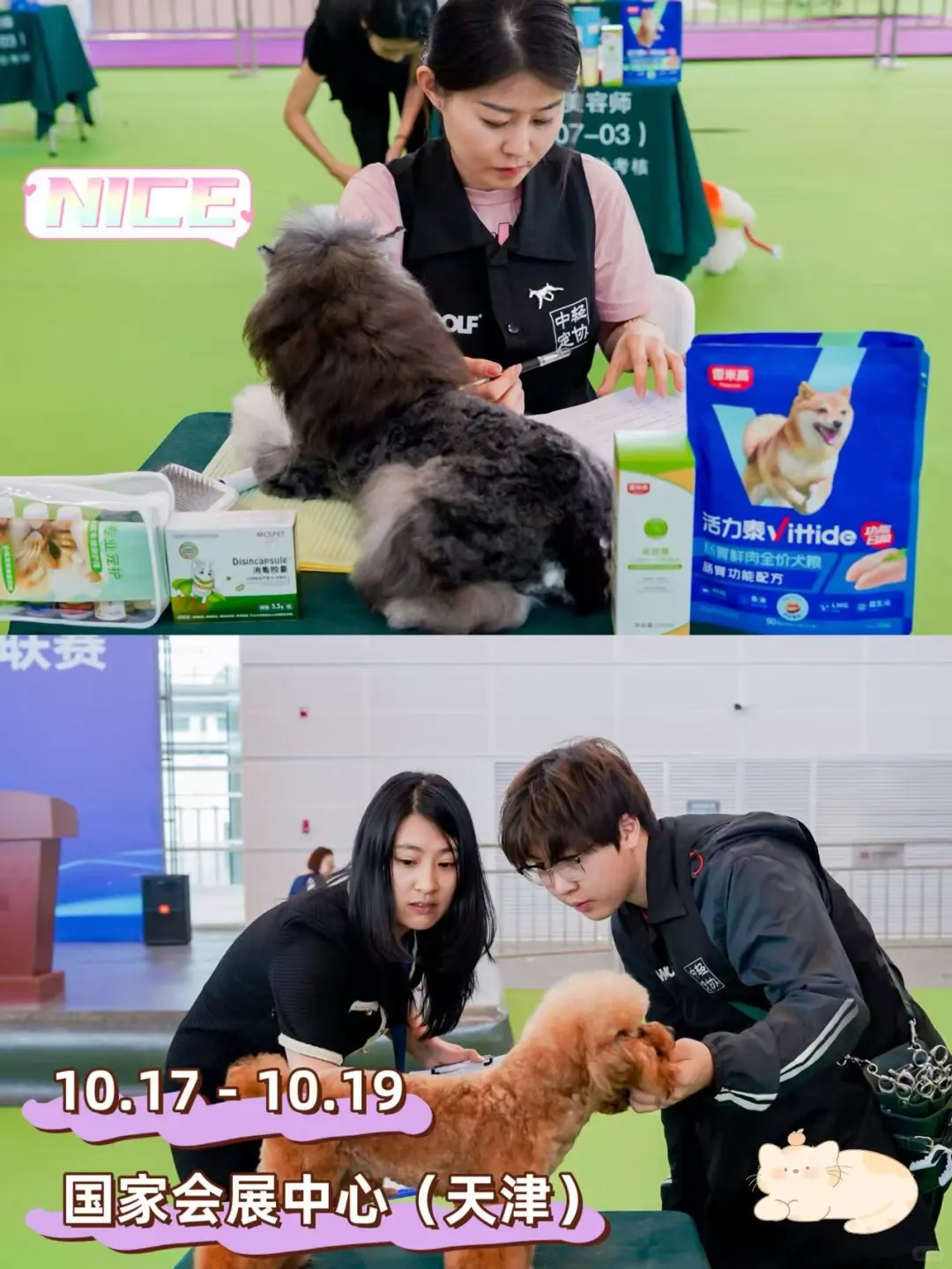 第三届趣宠会定档！天津10.17带毛娃冲