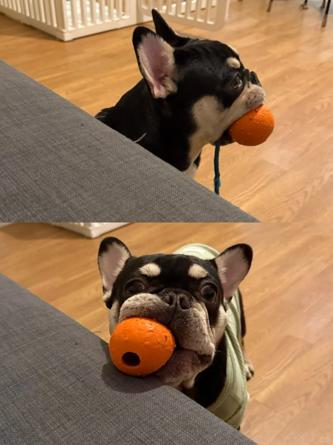 东北人在英国过冬很不爽快