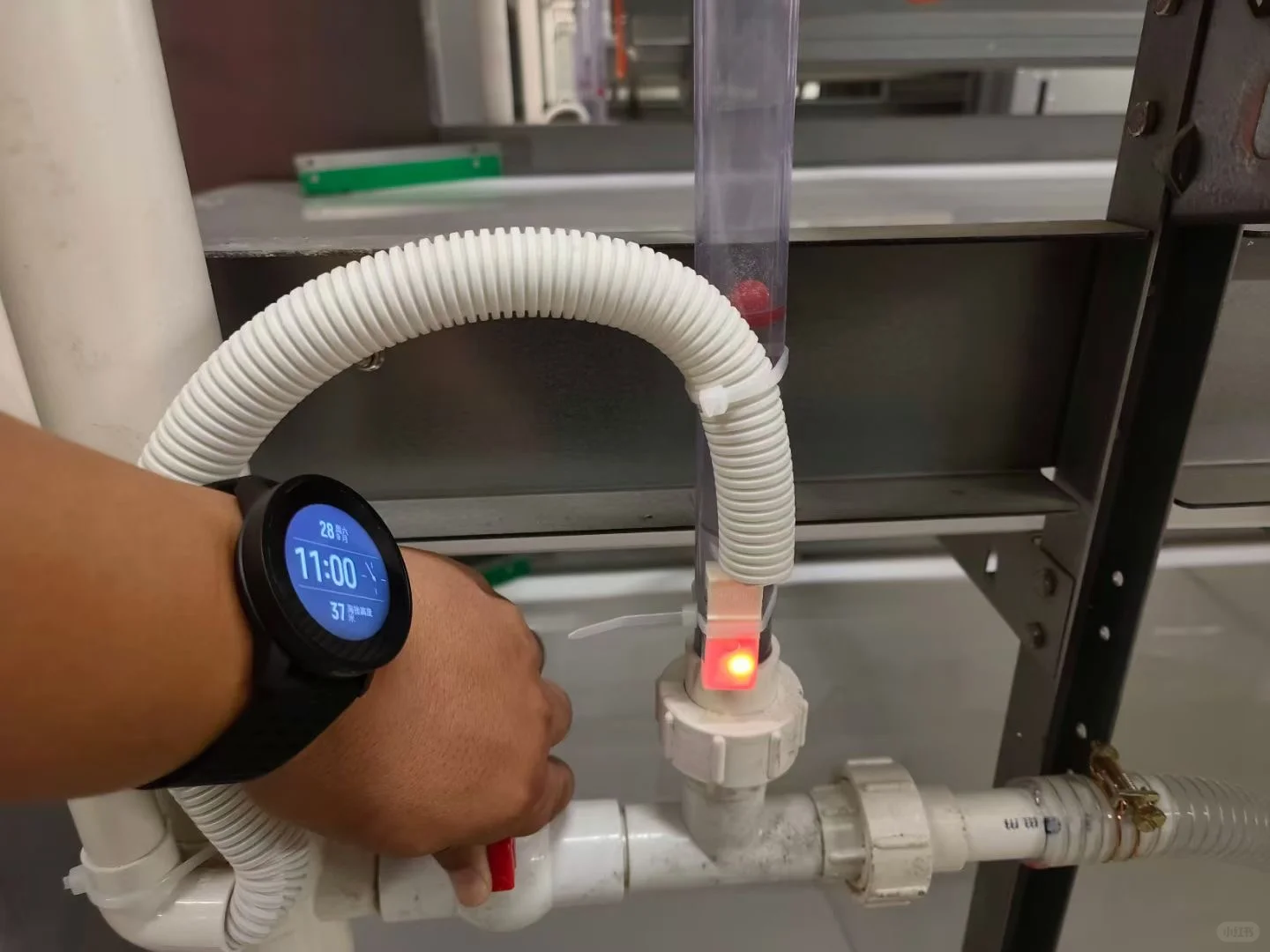 万事俱备 只欠鸡来 年代化养殖设备