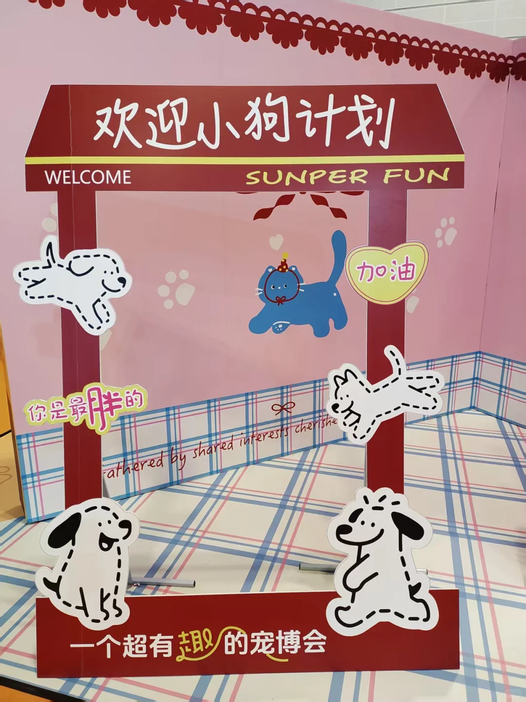 宠物展薅羊毛回来了