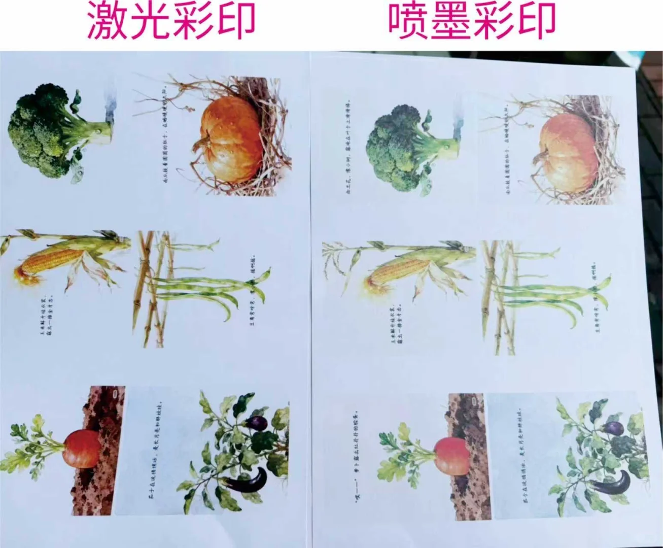 激光彩印和喷墨彩印区别