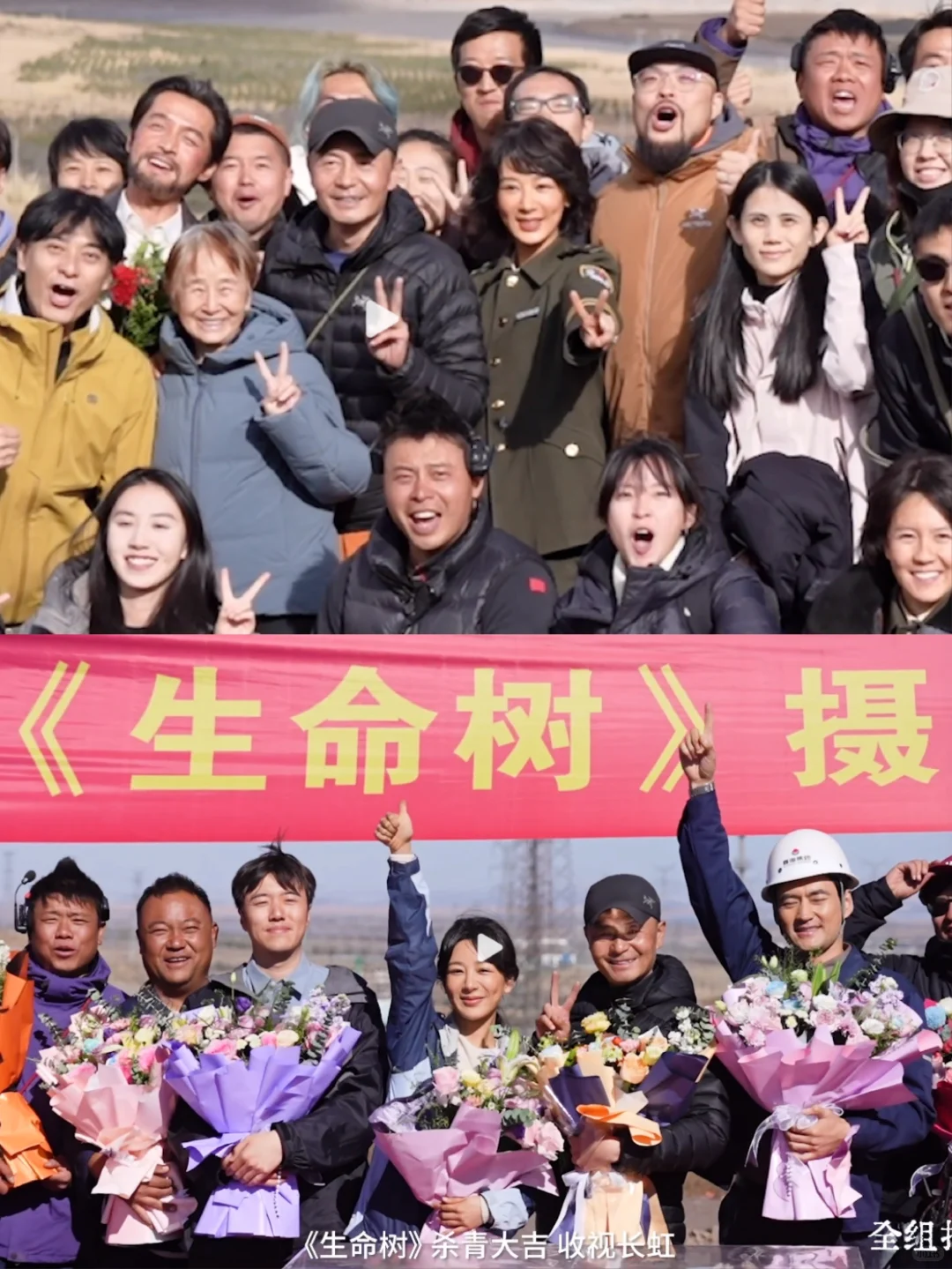 杨紫生命树杀青特辑,敬佩演员们的敬业