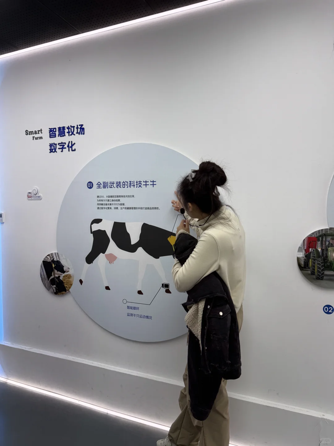 金山光明牧场|上海周末免费遛娃