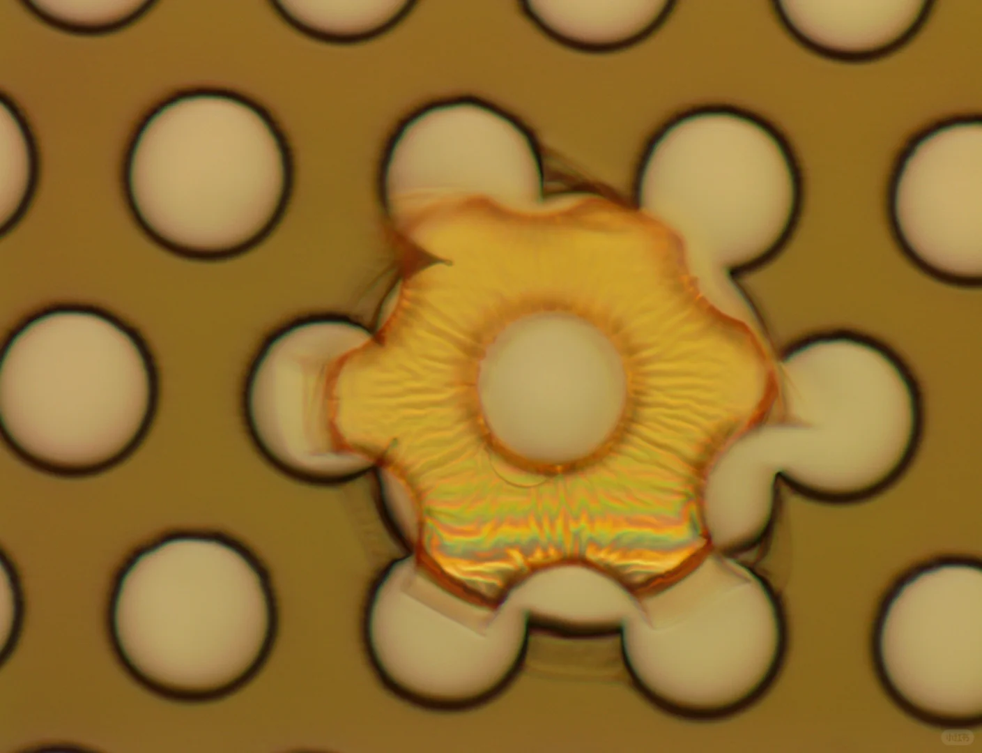 光刻图案脱落，光刻求助