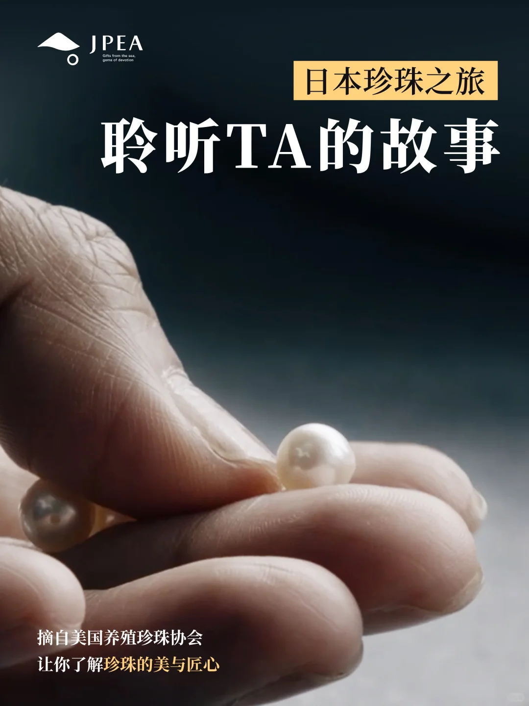 日本珍珠的魅力，从这里开始