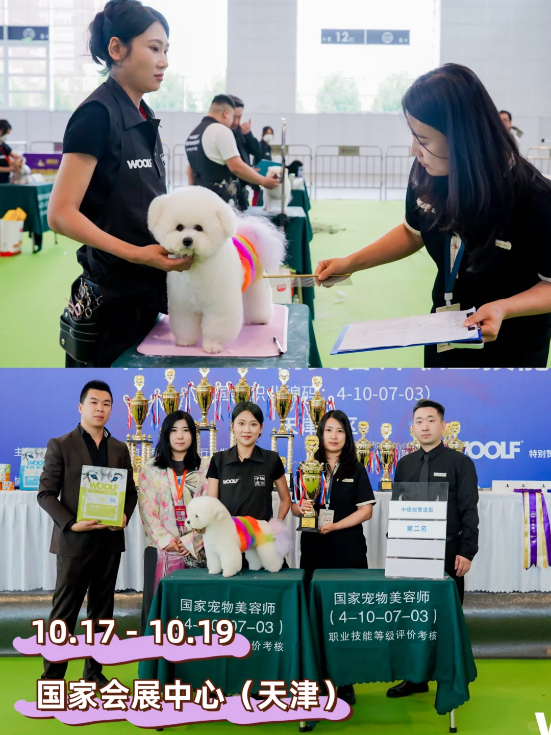 第三届趣宠会定档！天津10.17带毛娃冲