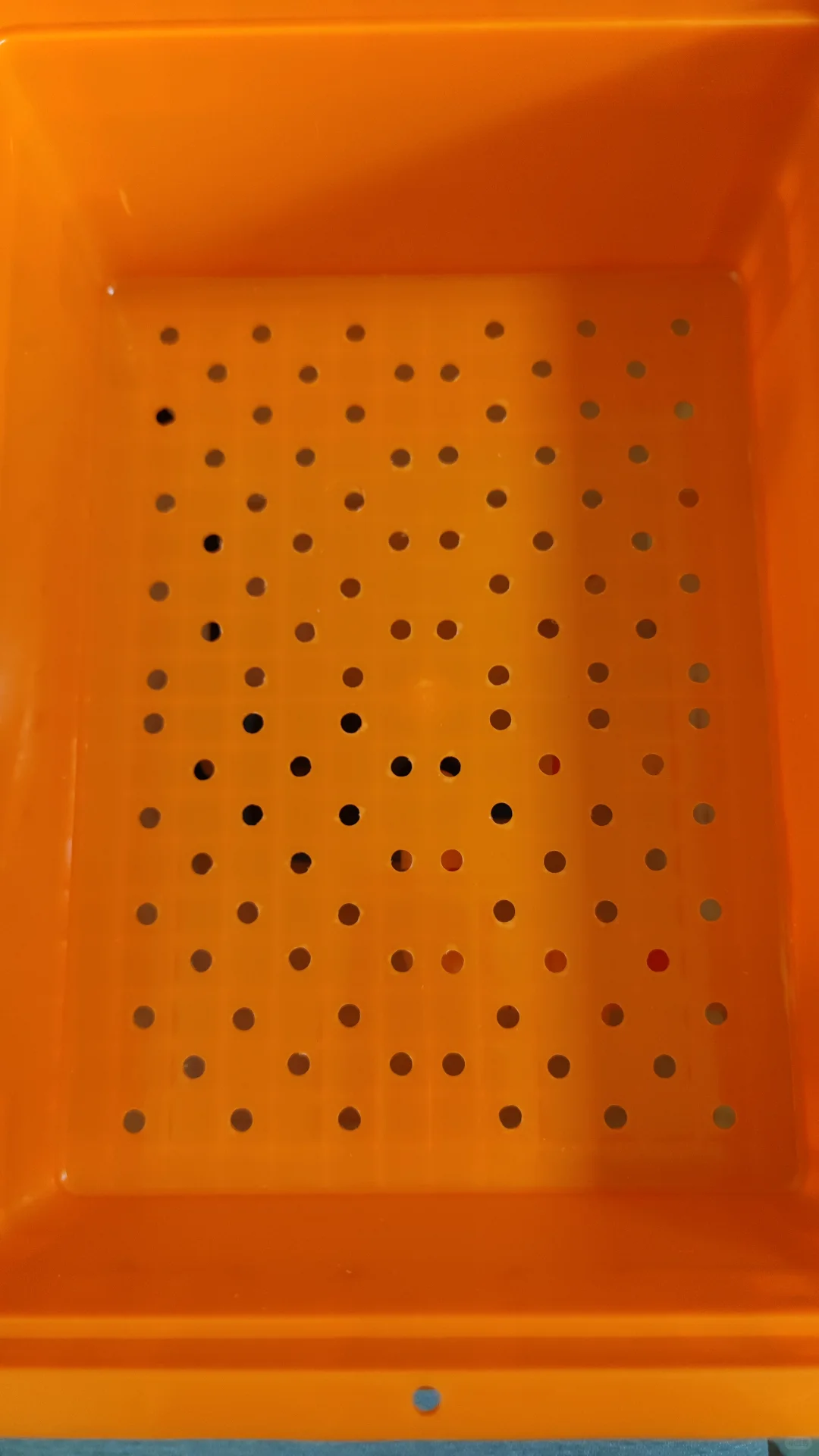 金典白橙【周转箱过滤】