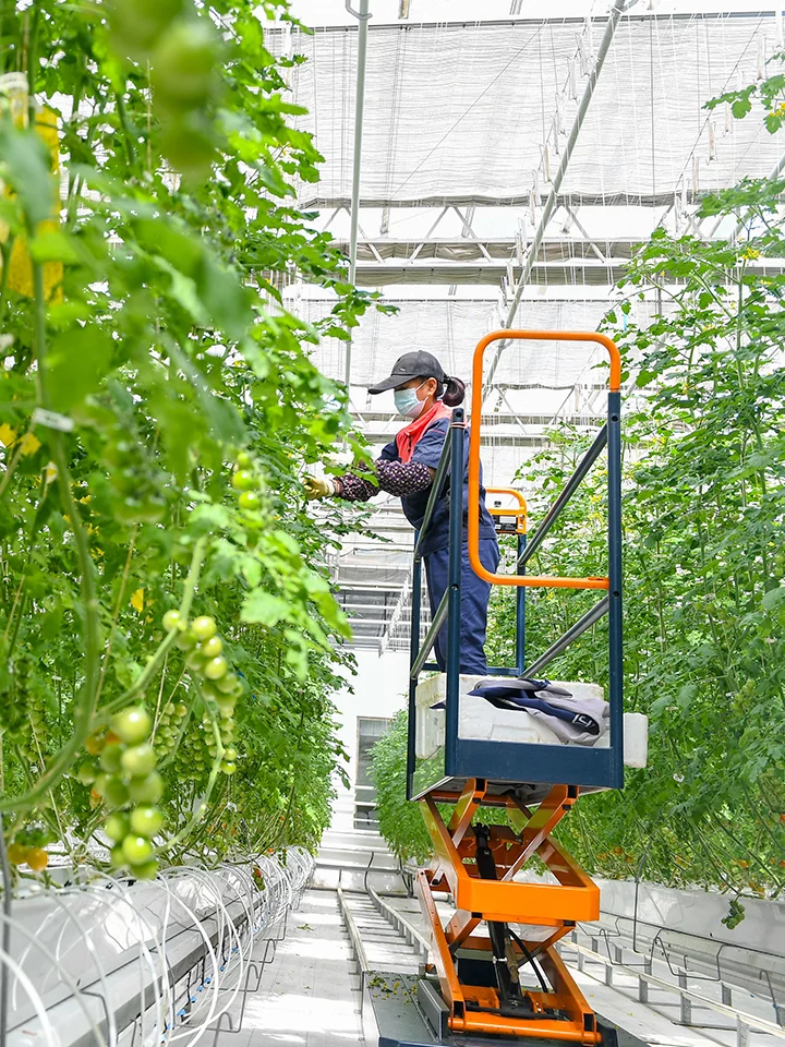 设施农业的发展中面临的三大矛盾及解决路径