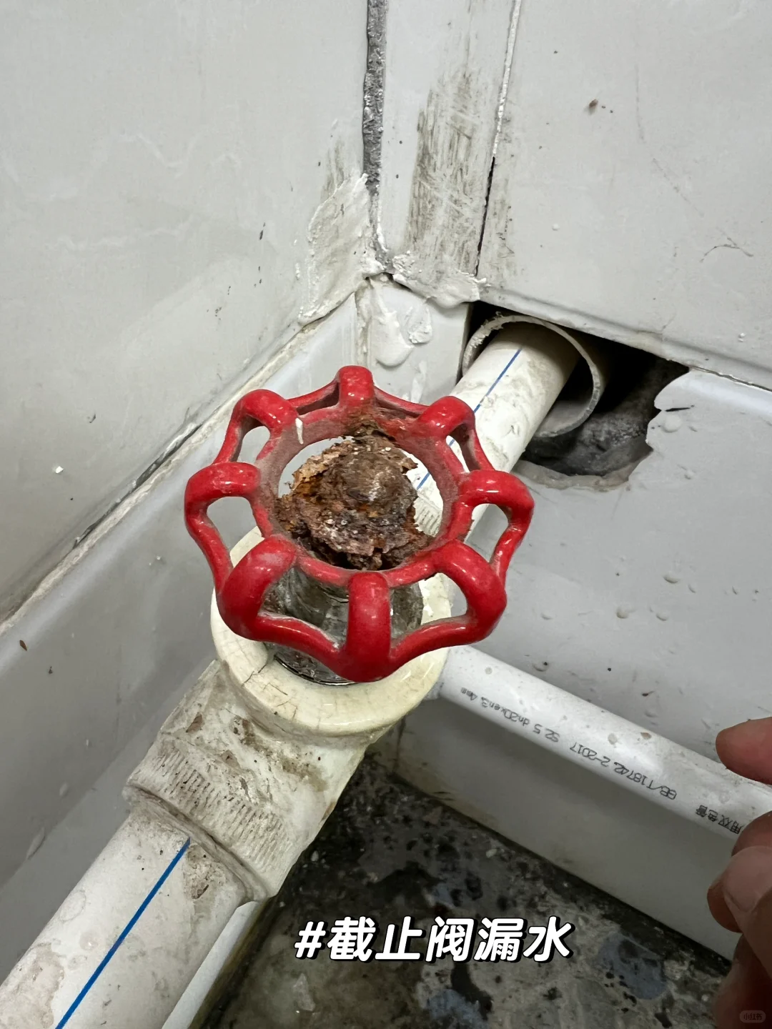 两步解决截止阀漏水