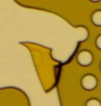 光刻图案脱落，光刻求助