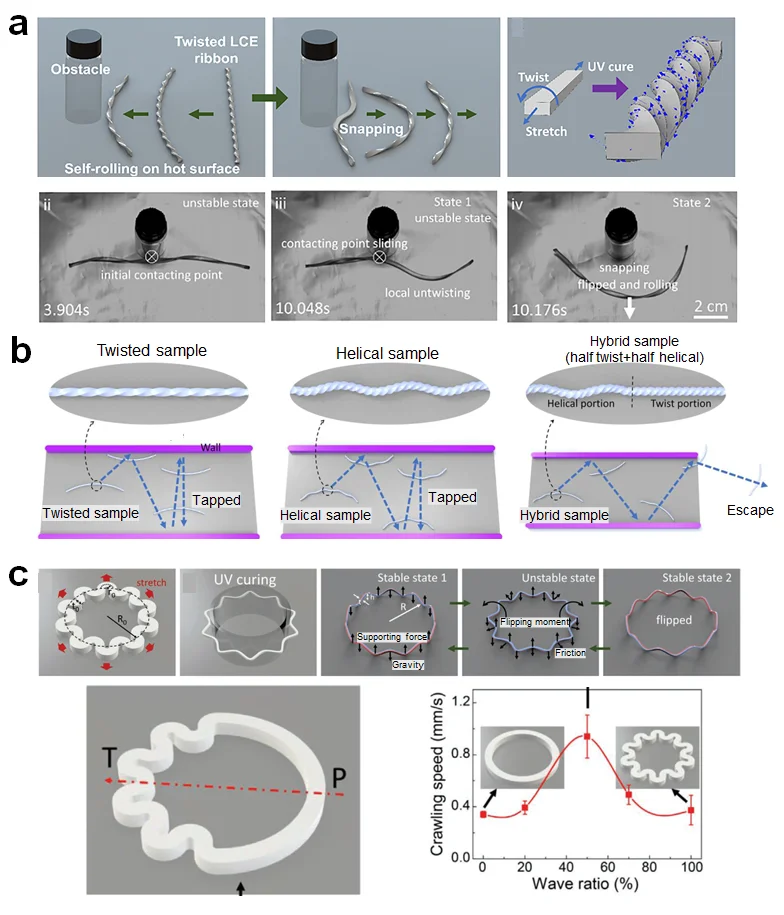 综述：基于液晶聚合物的软体机器人和致动器