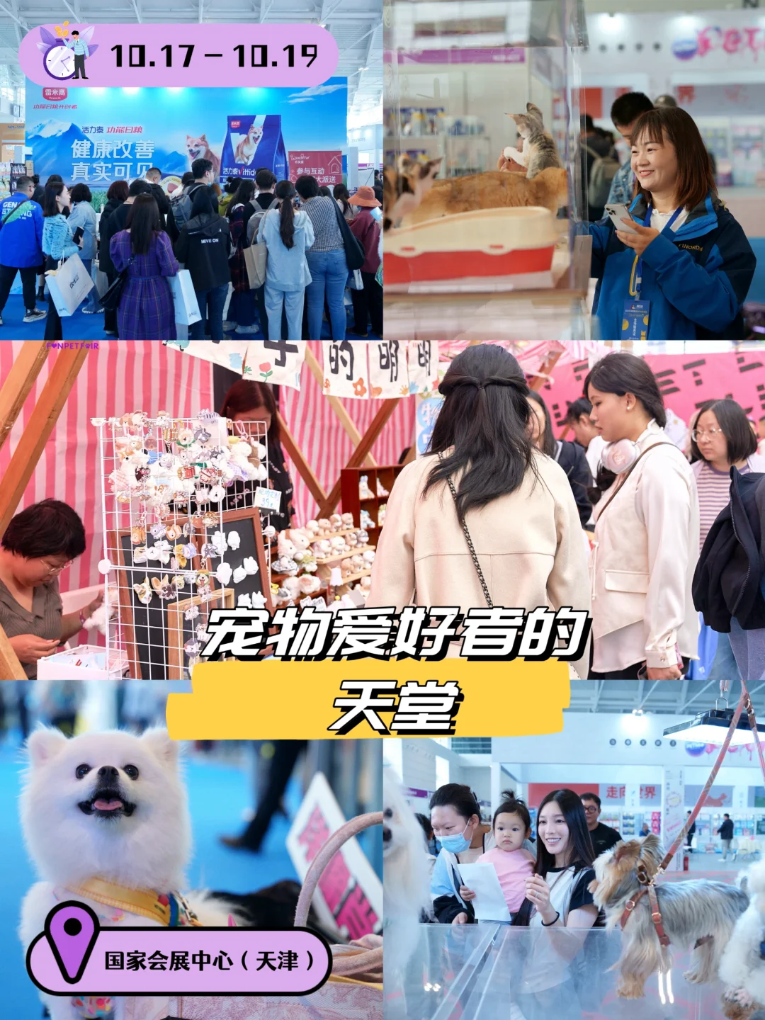 第三届趣宠会定档！天津10.17带毛娃冲