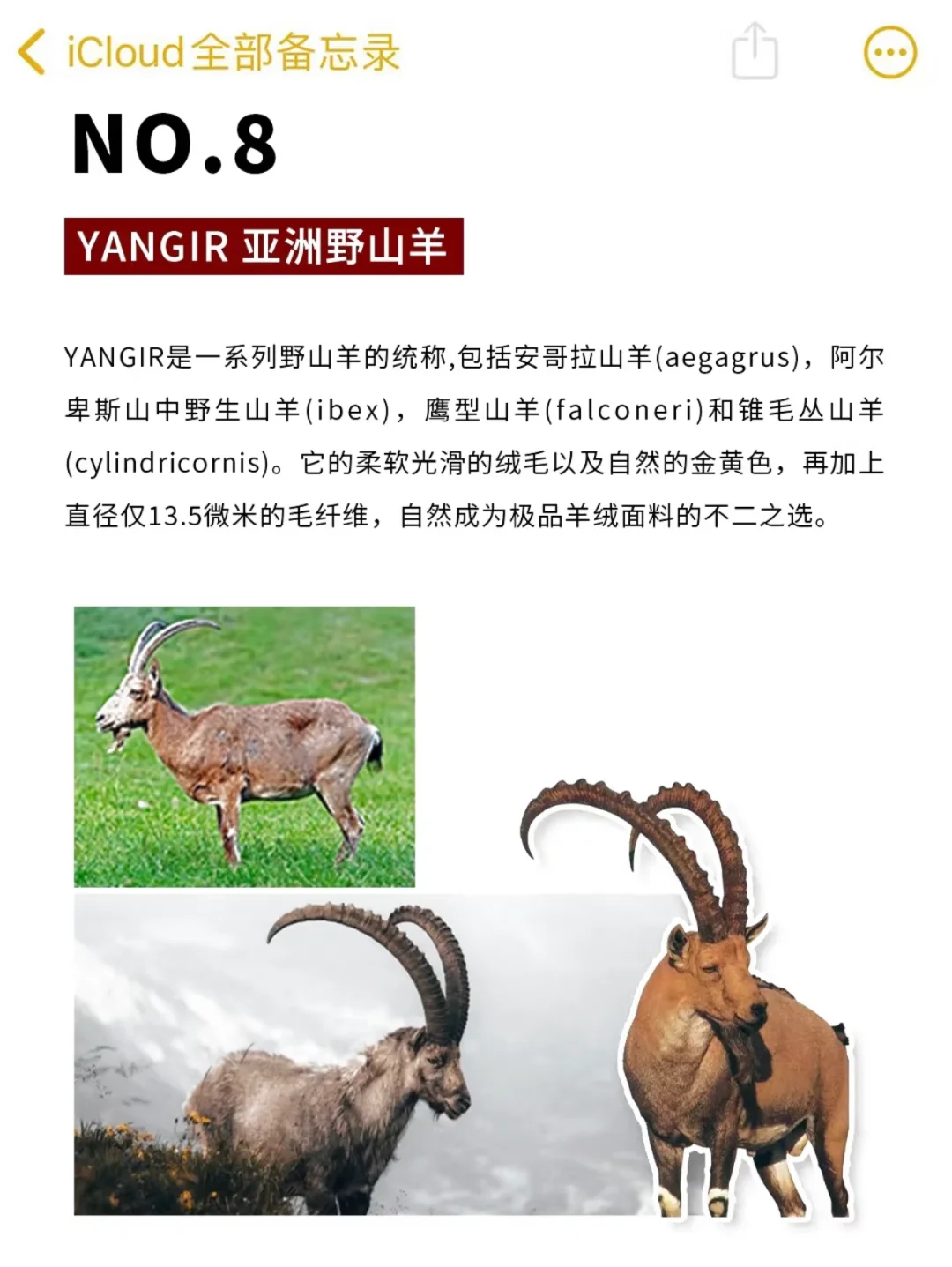 十大奢华面料!全球TOP级面料科普