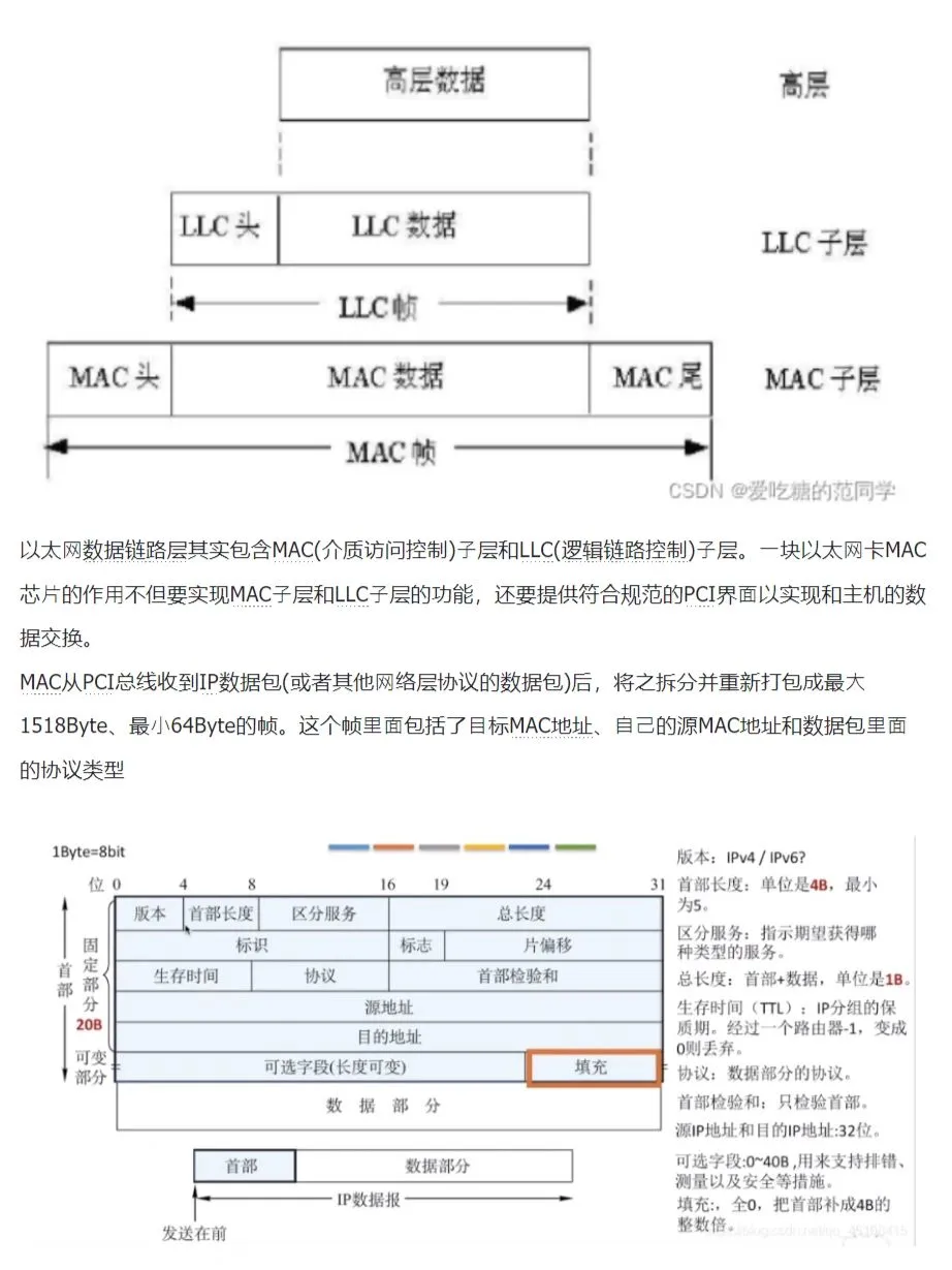 MAC（Media Access Control）即