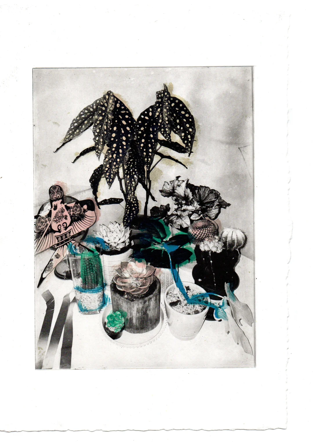 初次实验照相凹版，好玩