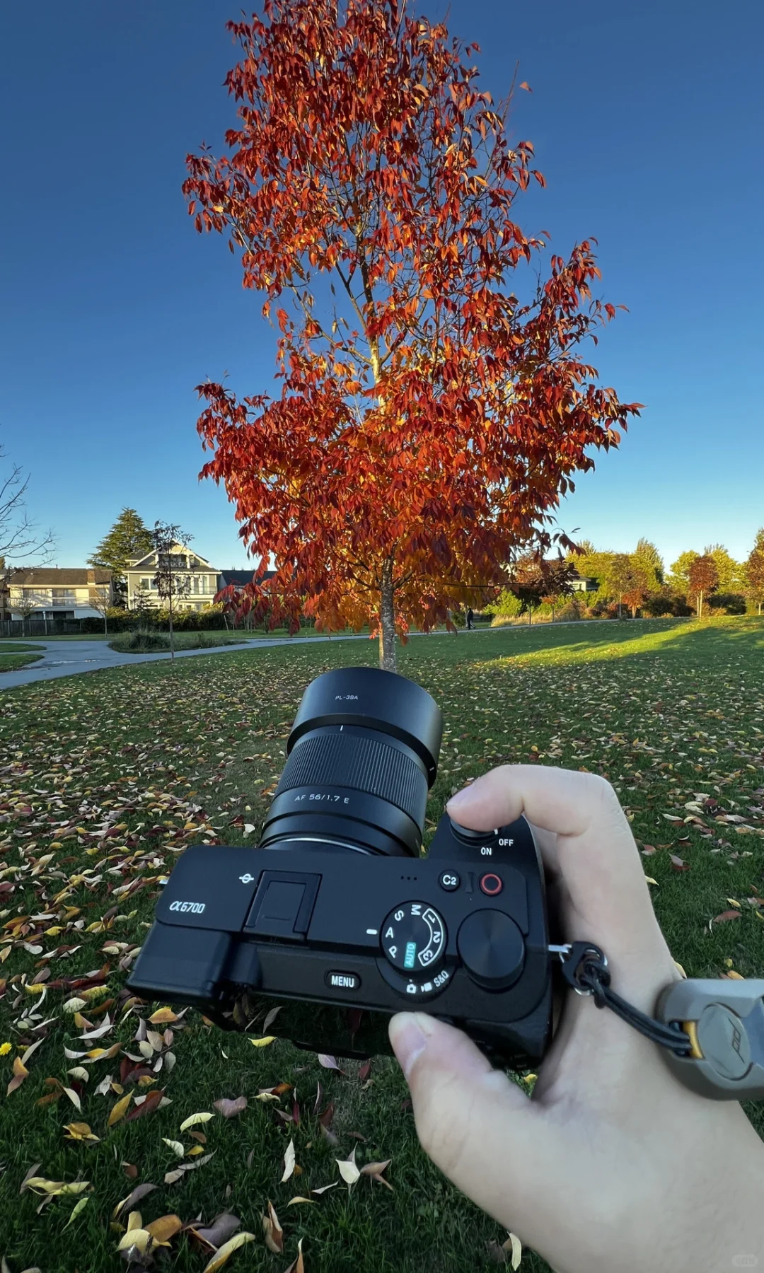 我用索尼a6700拍的照片