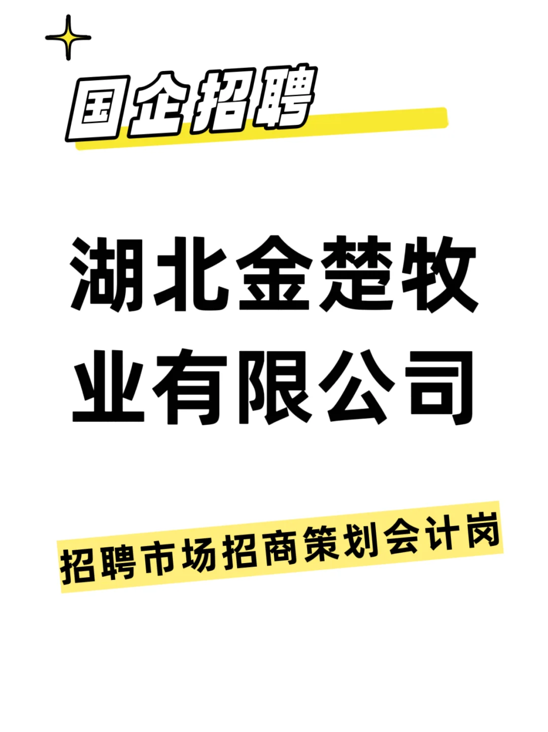 湖北金楚牧业有限公司招聘市场策划会计岗
