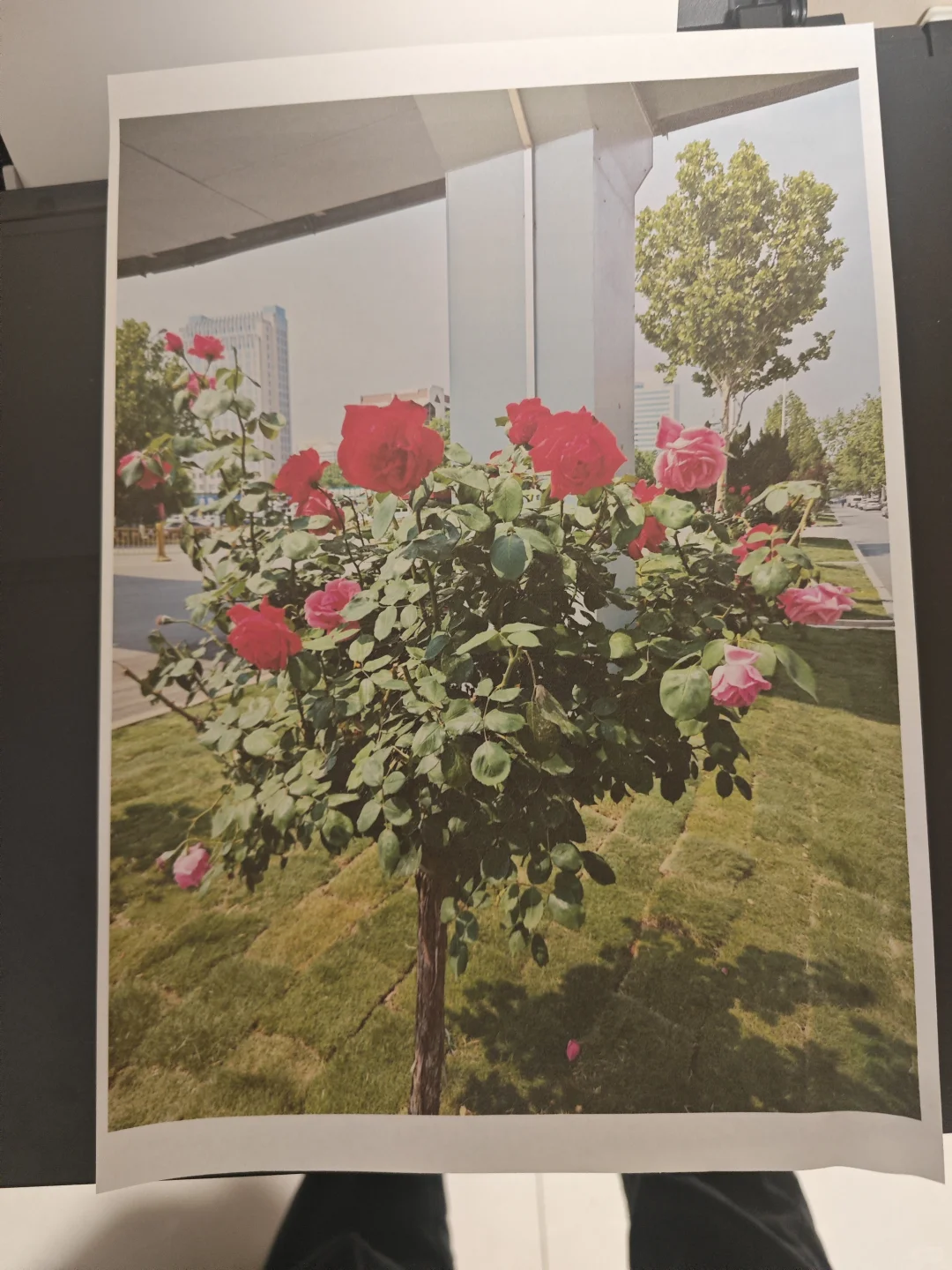 佳能G3810打印机,学生家庭好帮手