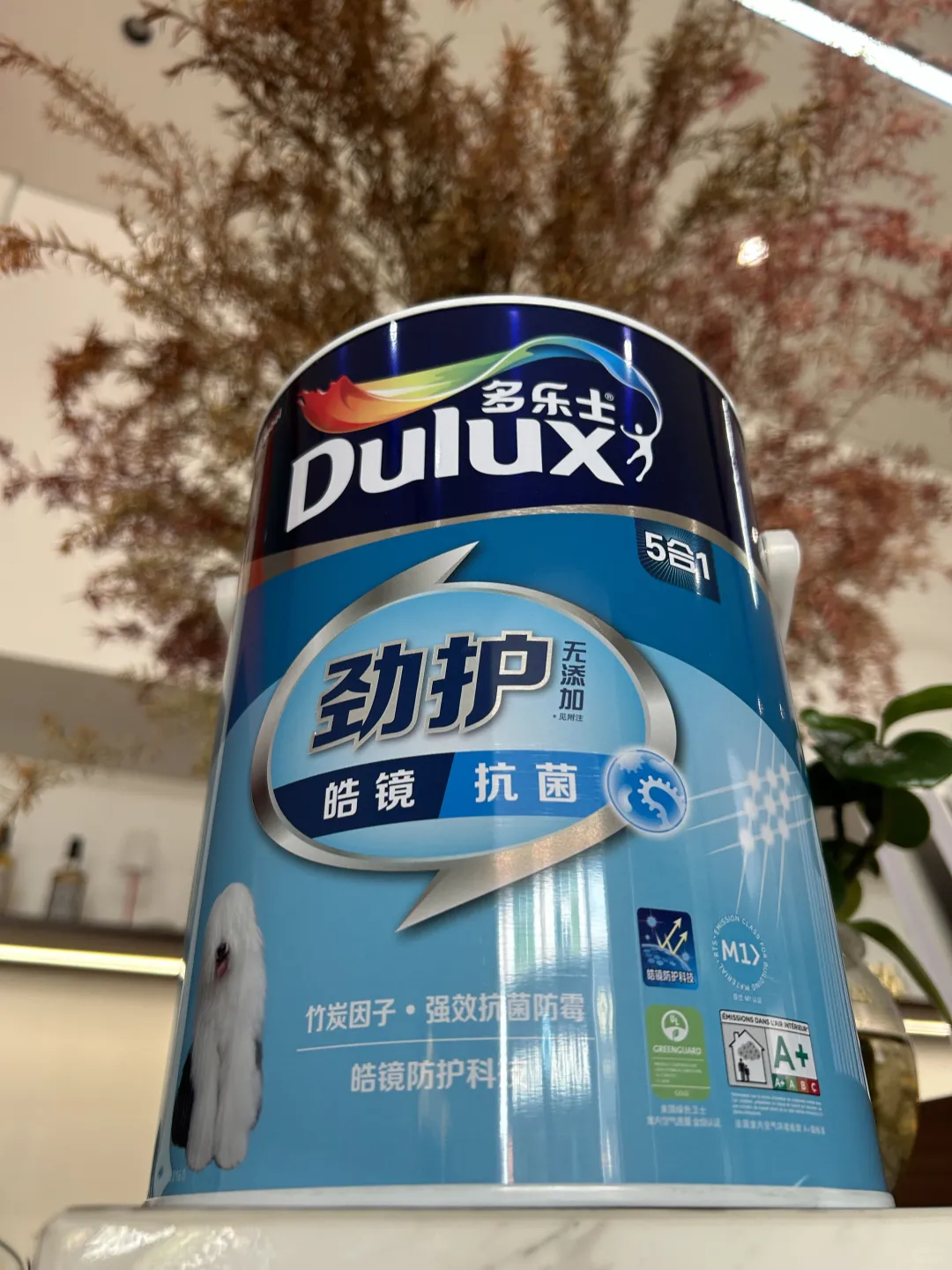 听我的！衡阳选多乐士劲护皓镜漆直接封神